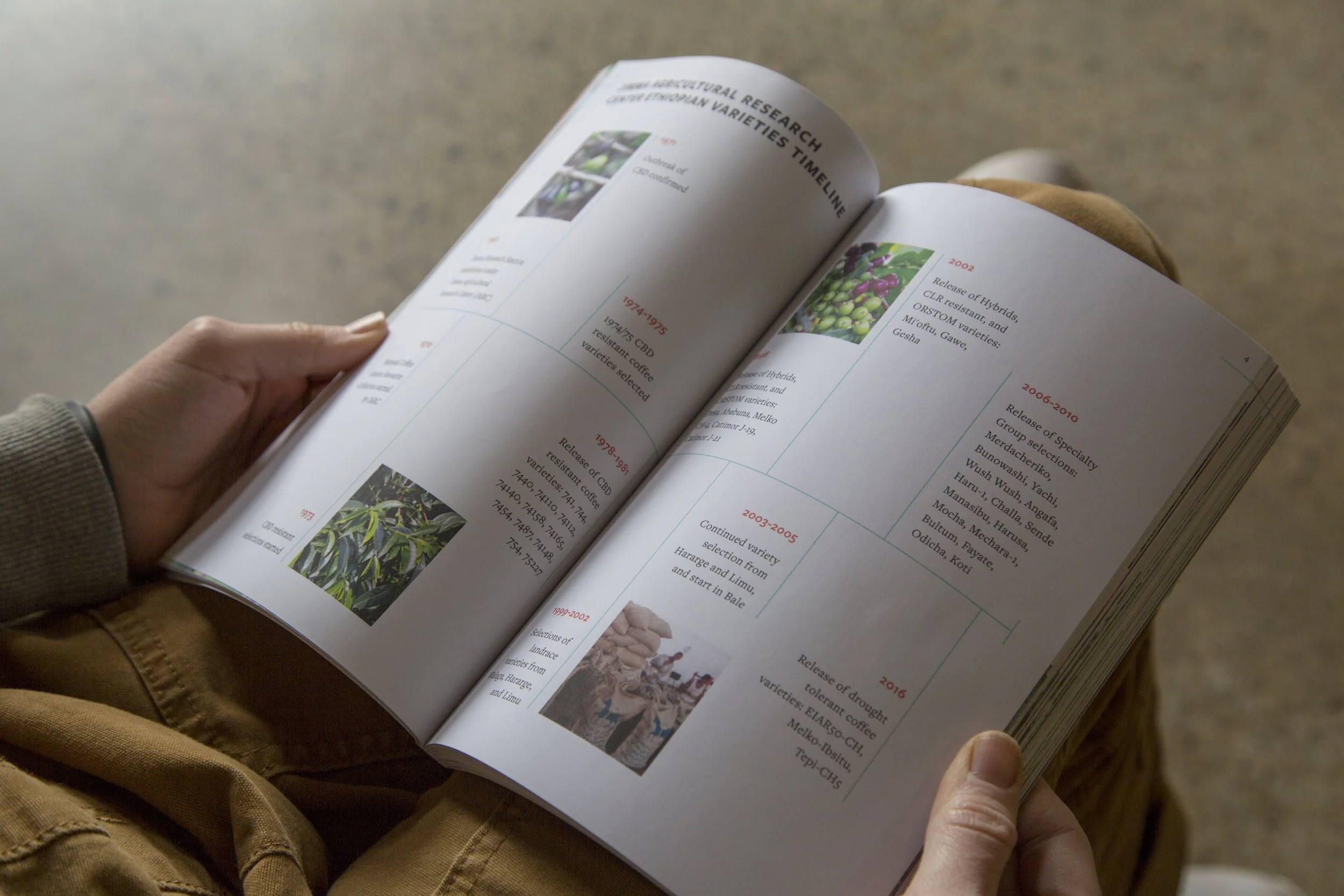 A Reference Guide to Ethiopian Coffee Varieties interior spread — hand holding open book showing variety data and photography