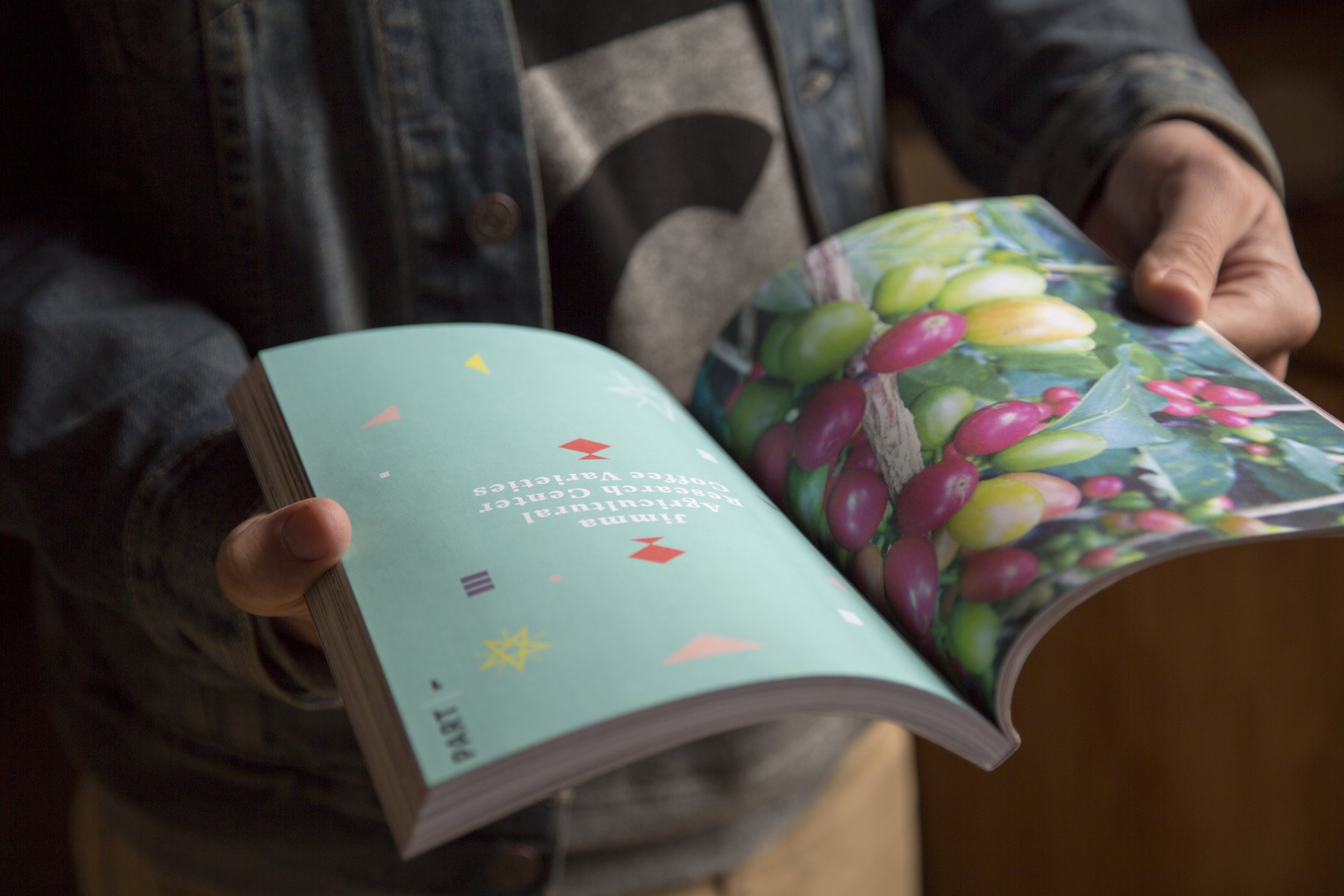 A Reference Guide to Ethiopian Coffee Varieties chapter opener — teal section divider with coffee cherry photography held open