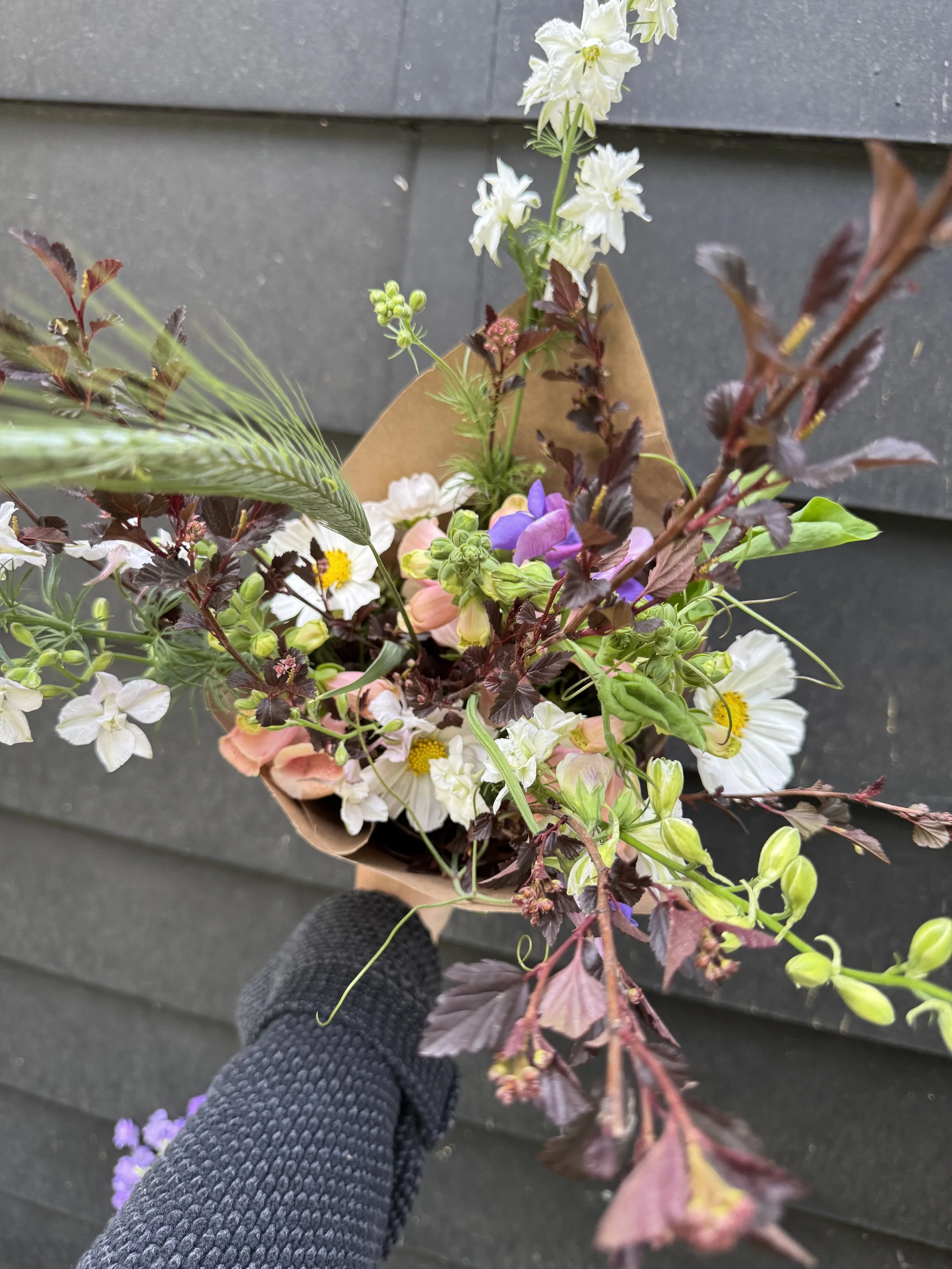 Far * Away Flower Club - Every 2 Weeks