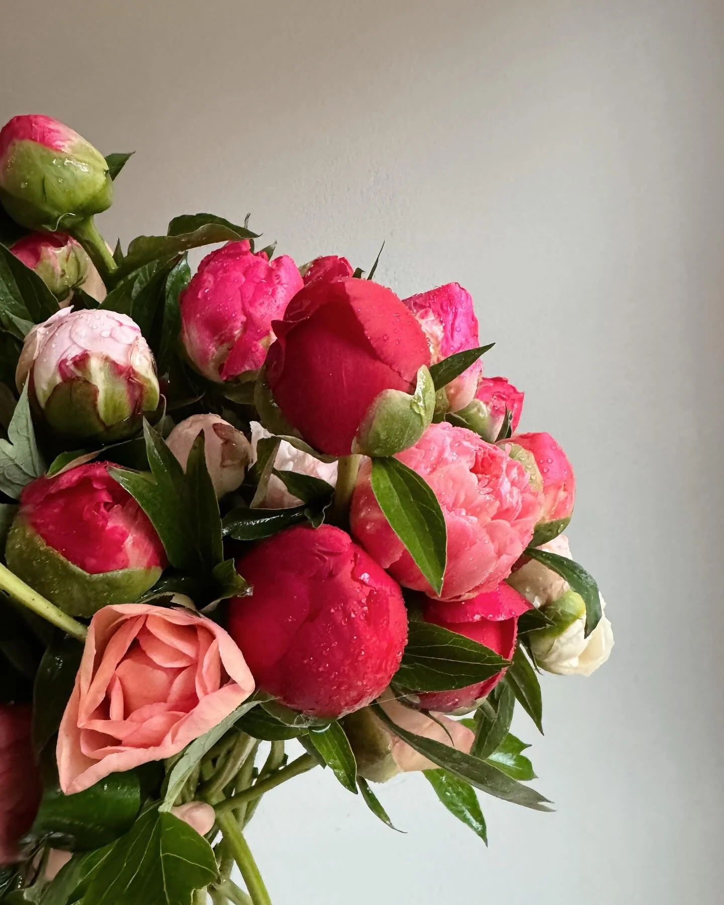 Each fall, I somehow squeeze more peony roots into my garden. They&rsquo;re simply the best, so I made straight peony bunches for @greisers - Happy Friday, all!