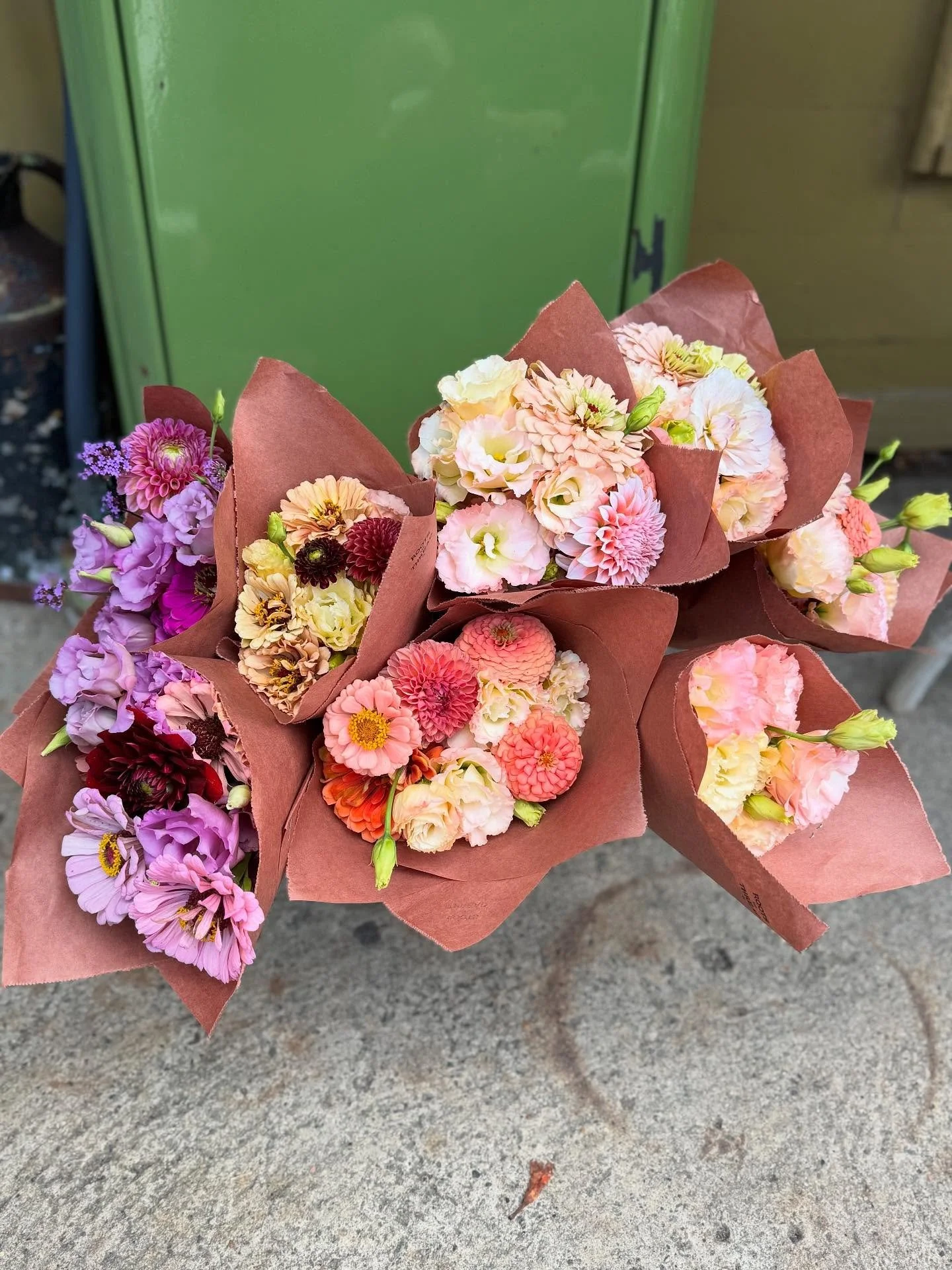 Pink or purple? The eternal flower lover&rsquo;s dilemma 🩷💜