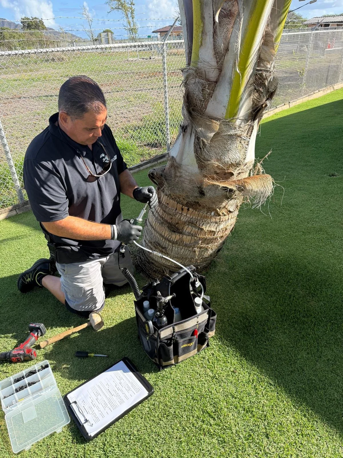 Joshua Pokipala of HonuaWai performing CRB tree injections with the ArborJet system for optimal efficiency.