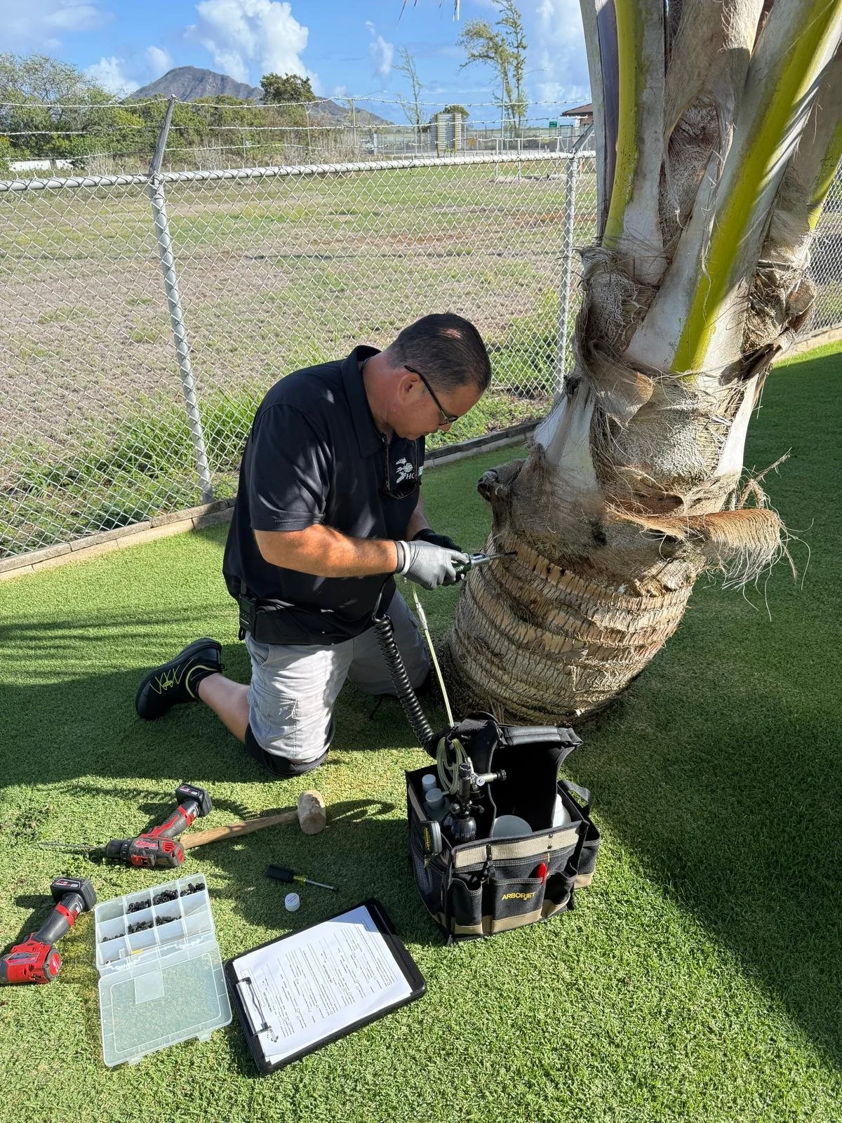 Joshua Pokipala of HonuaWai performing CRB tree injections with the ArborJet system for optimal efficiency.