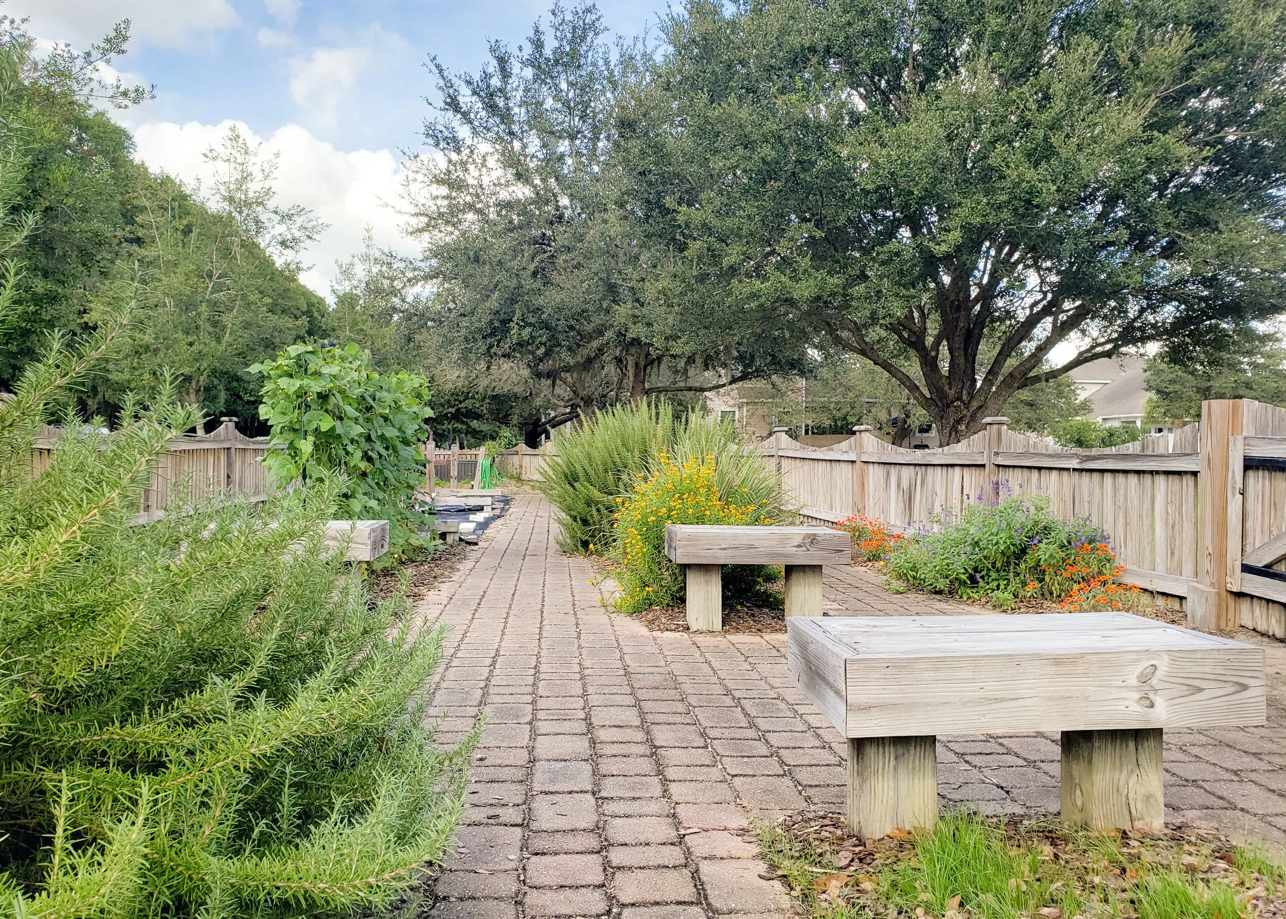 Garden.jpg