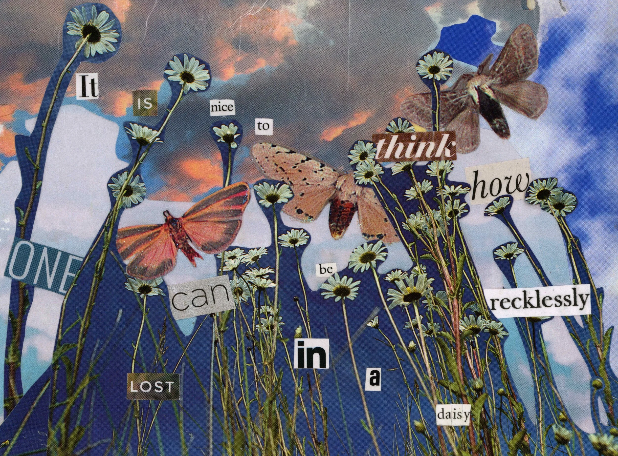 Lost in a Daisy.jpg