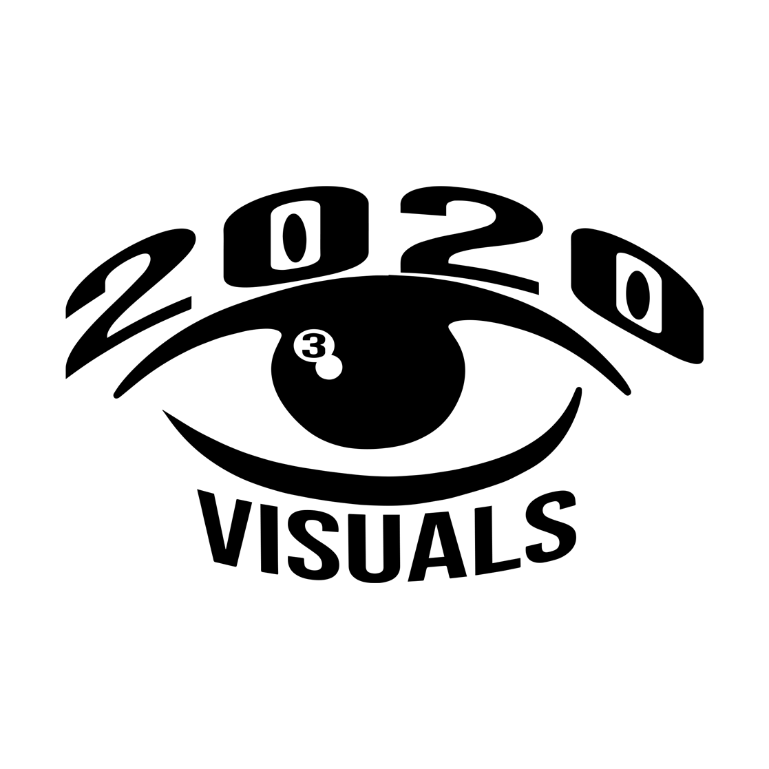 2020visuals1