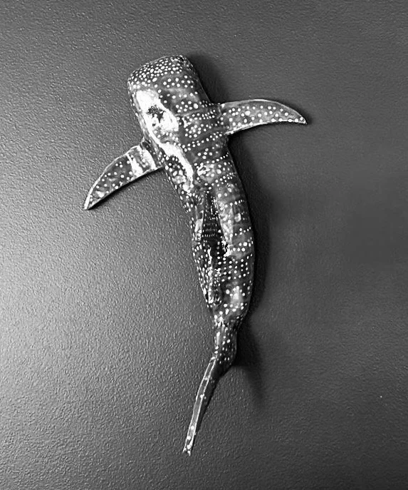 Whale Shark Wall Sculpture Workshop