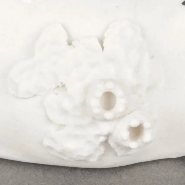 PB085.jpg