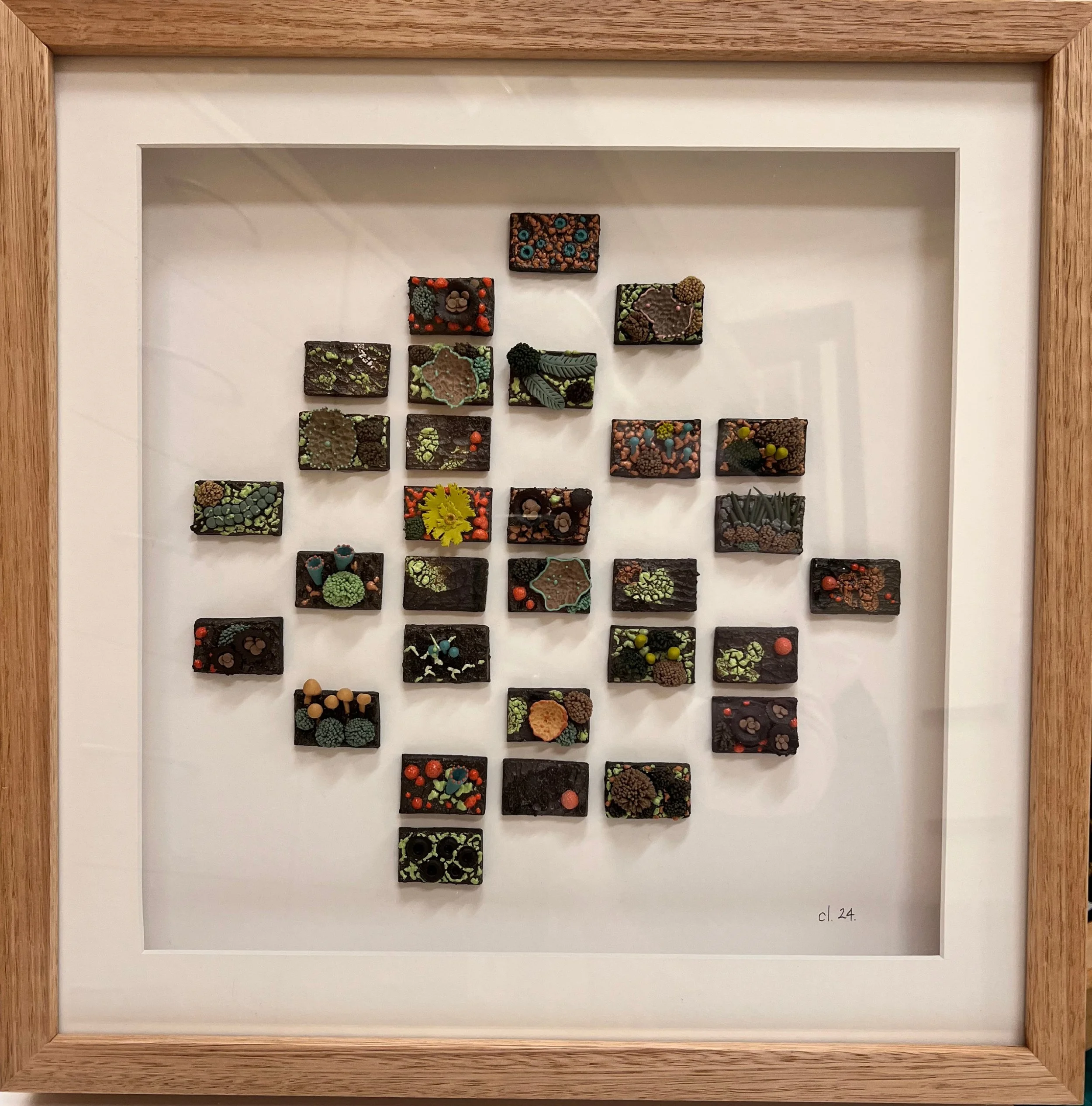 Christie Lange_Forest Fragments in Miniature2024_30_cradle mountain wilderness gallery.JPG