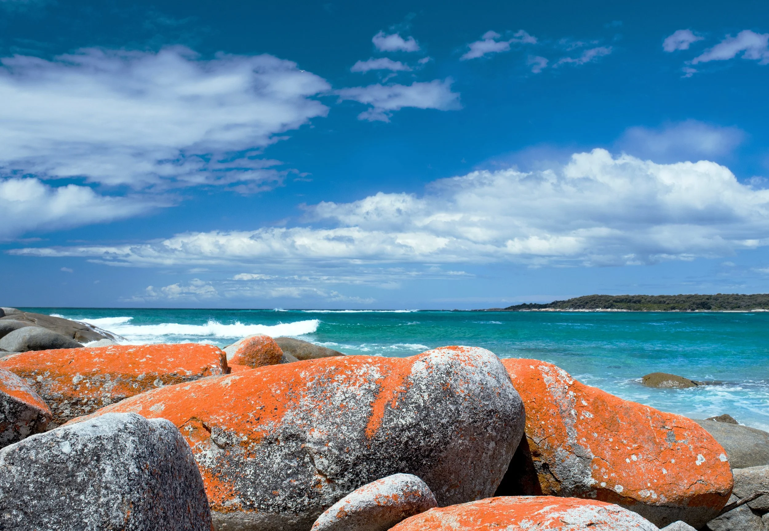 Larapuna_Bay of Fires_Tasmania.jpg (Copy)
