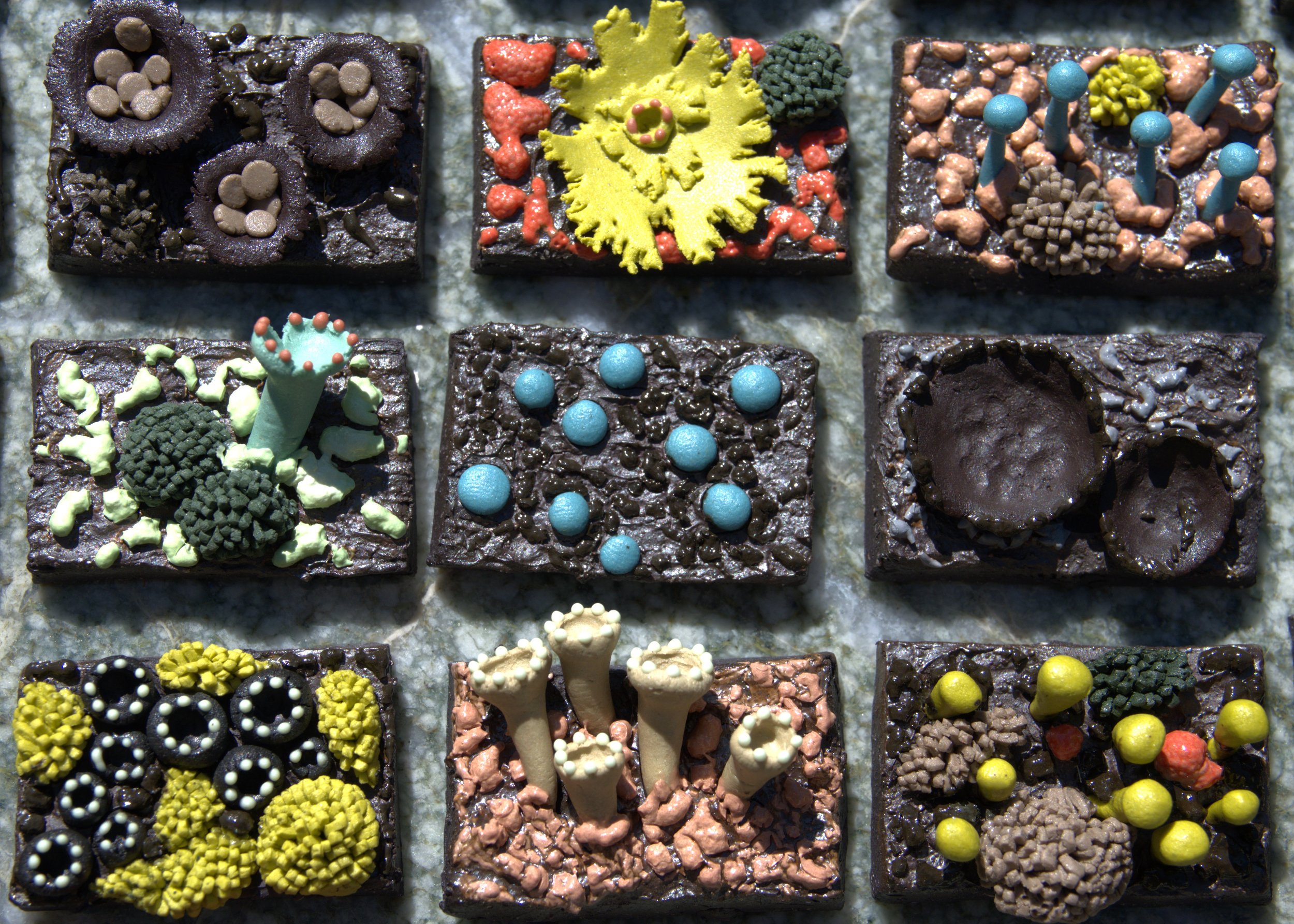 Single - Forest Fragments in Minatare, 2024