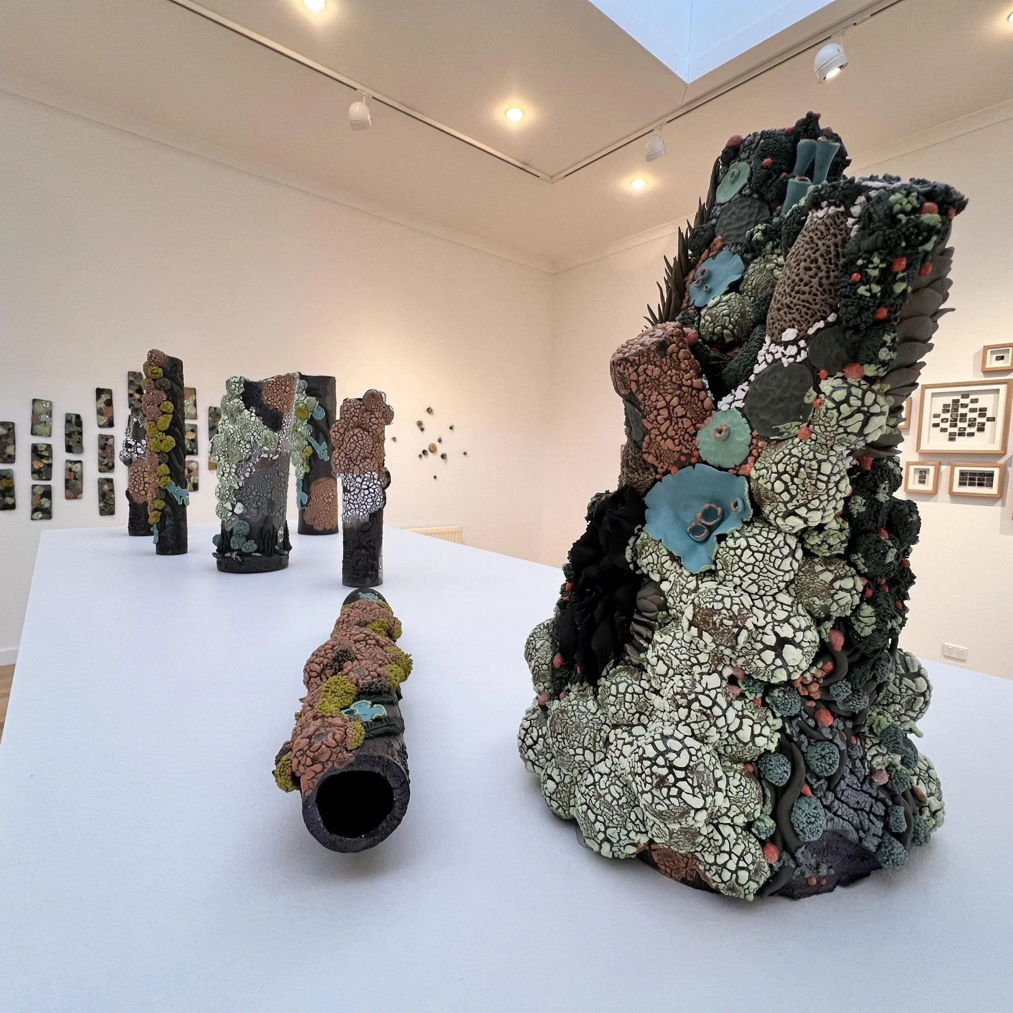 2024 - Forest Fragments; Echoes of the Enchanted Walk