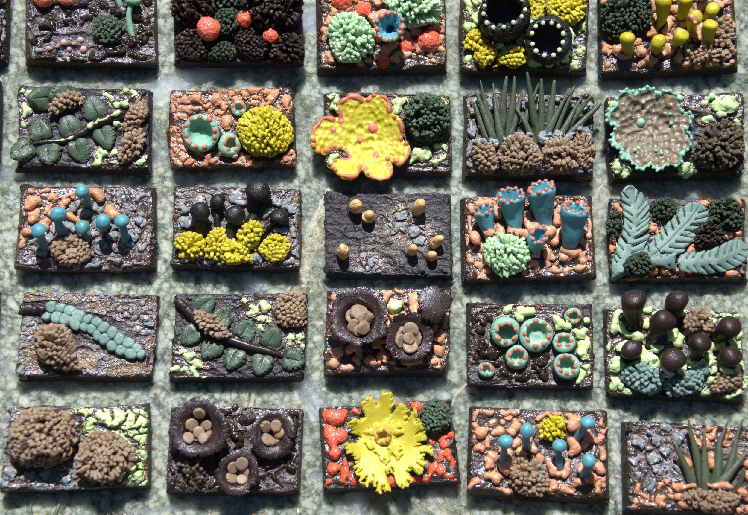 Forest Fragments Miniatures (2024), small-scale ceramic tiles inspired by lichens, fungi, and moss from Tasmania’s forest ecosystems.