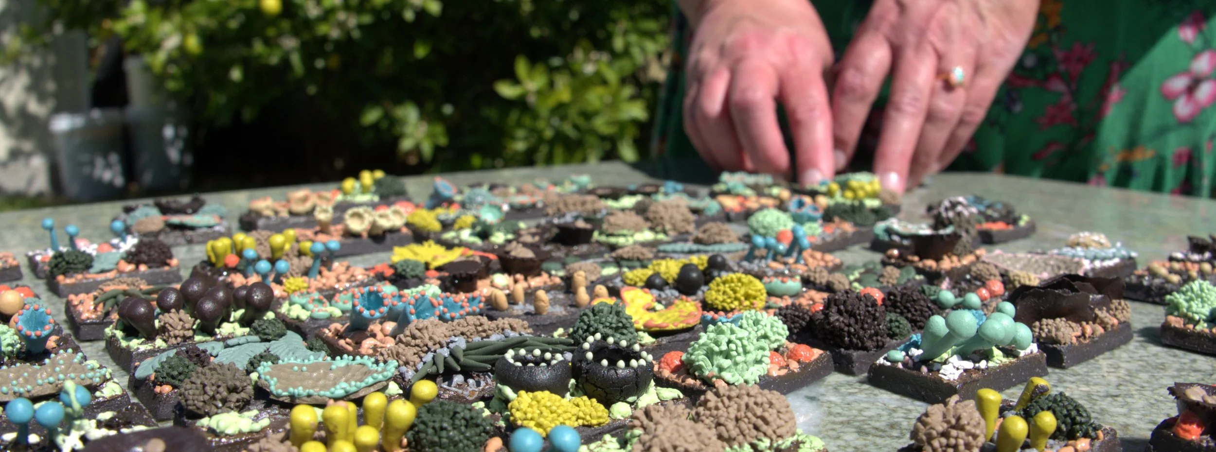 Selection of postage stamp size tiles with coloured porcelain sculpture of fungi, lichens and mosses.