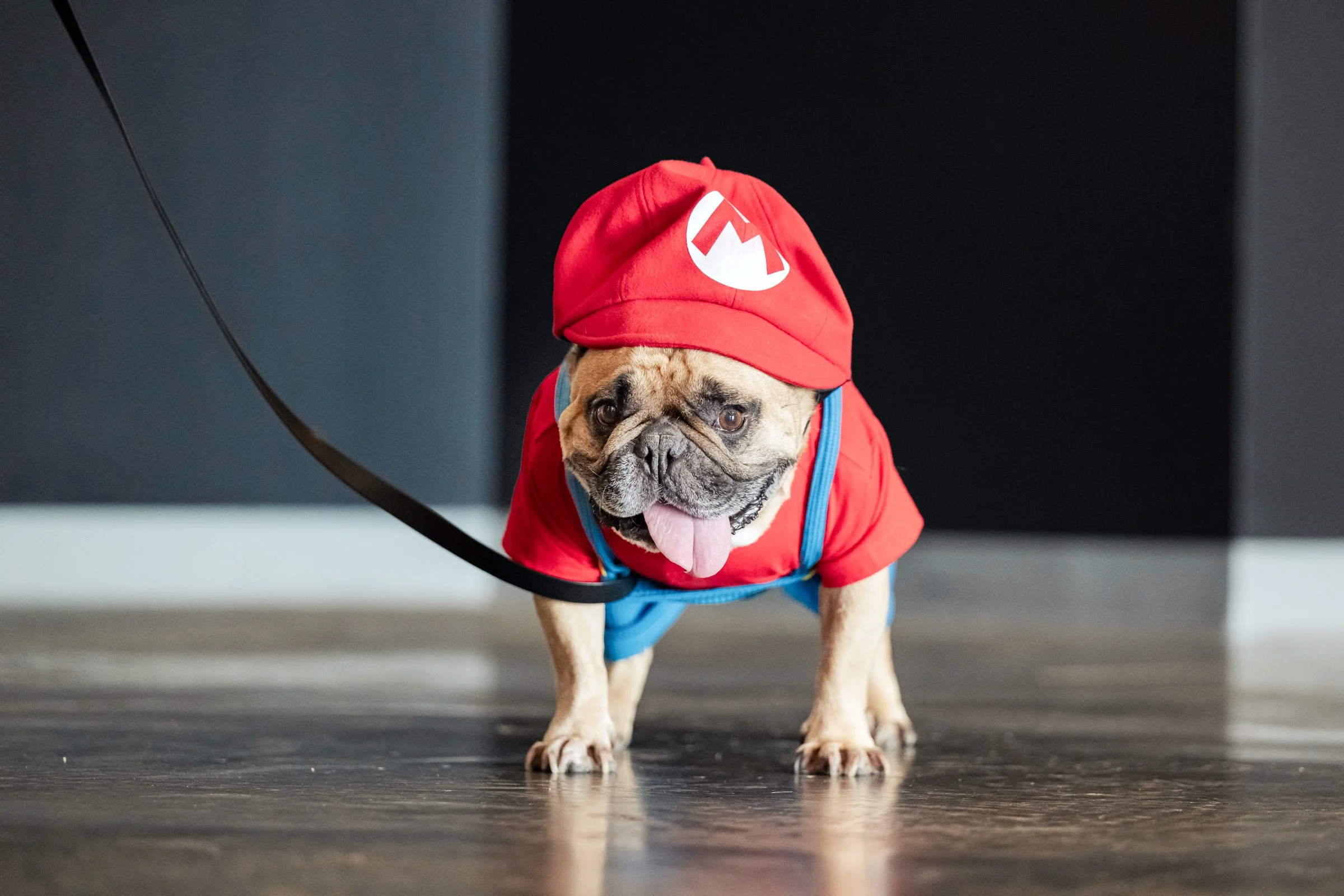 A dog dressed as Mario from a video game, wearing a red hat with an 'M' logo, a red shirt, and blue overalls, sitting on a wooden floor.