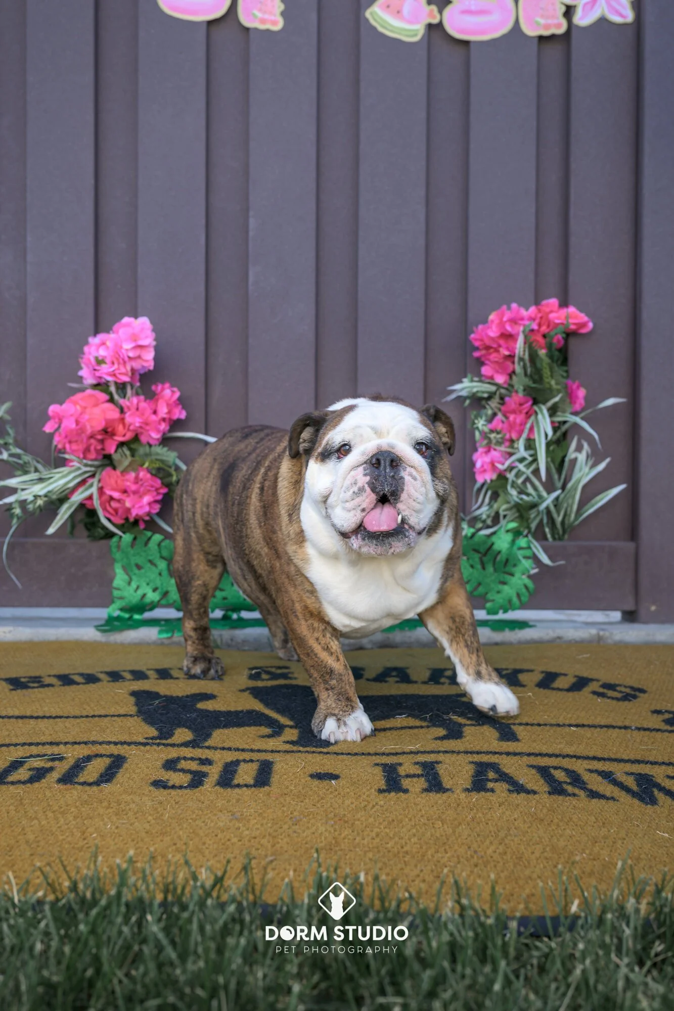 A bulldog standing on a doormat with the words 'Welcome to the Yard' printed on it. The background features pink flowers and a brown wooden wall. The scene appears to be outdoor or at the entrance of a house.