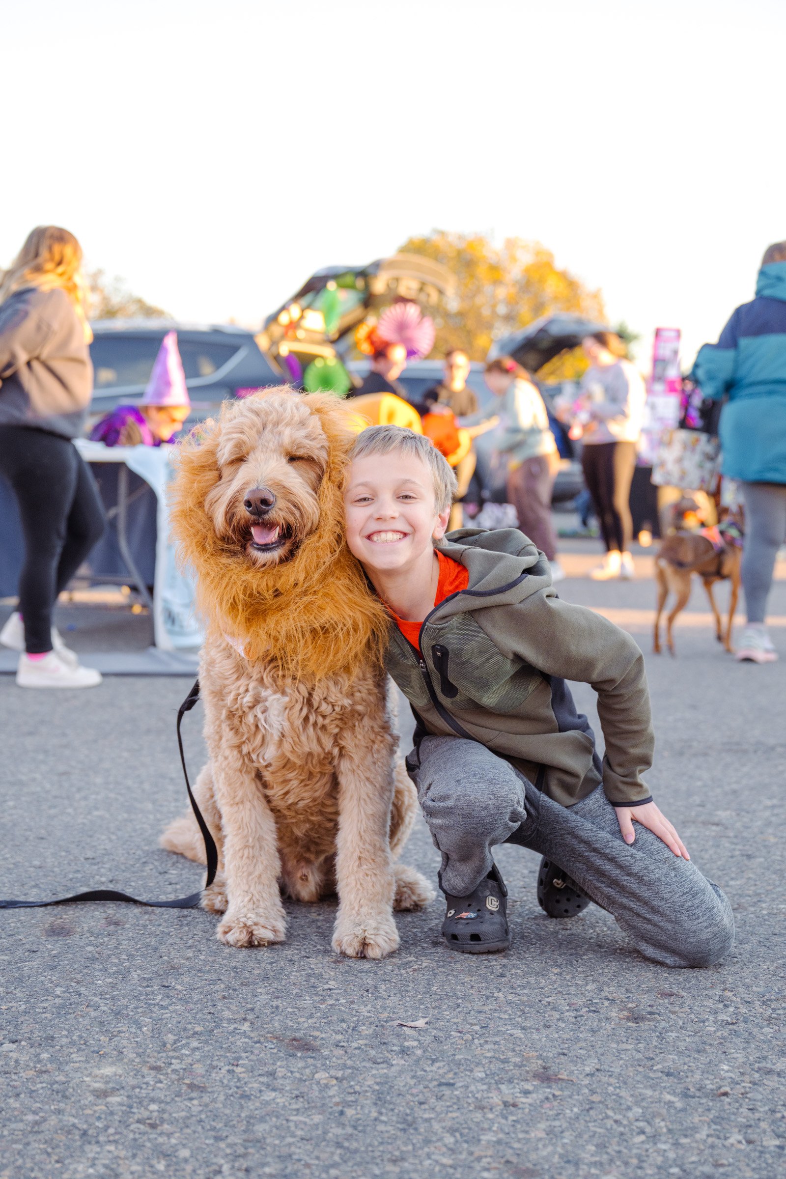 A young boy kneeling next to a large, fluffy, golden doodle dog at an outdoor event, with people and cars in the background.