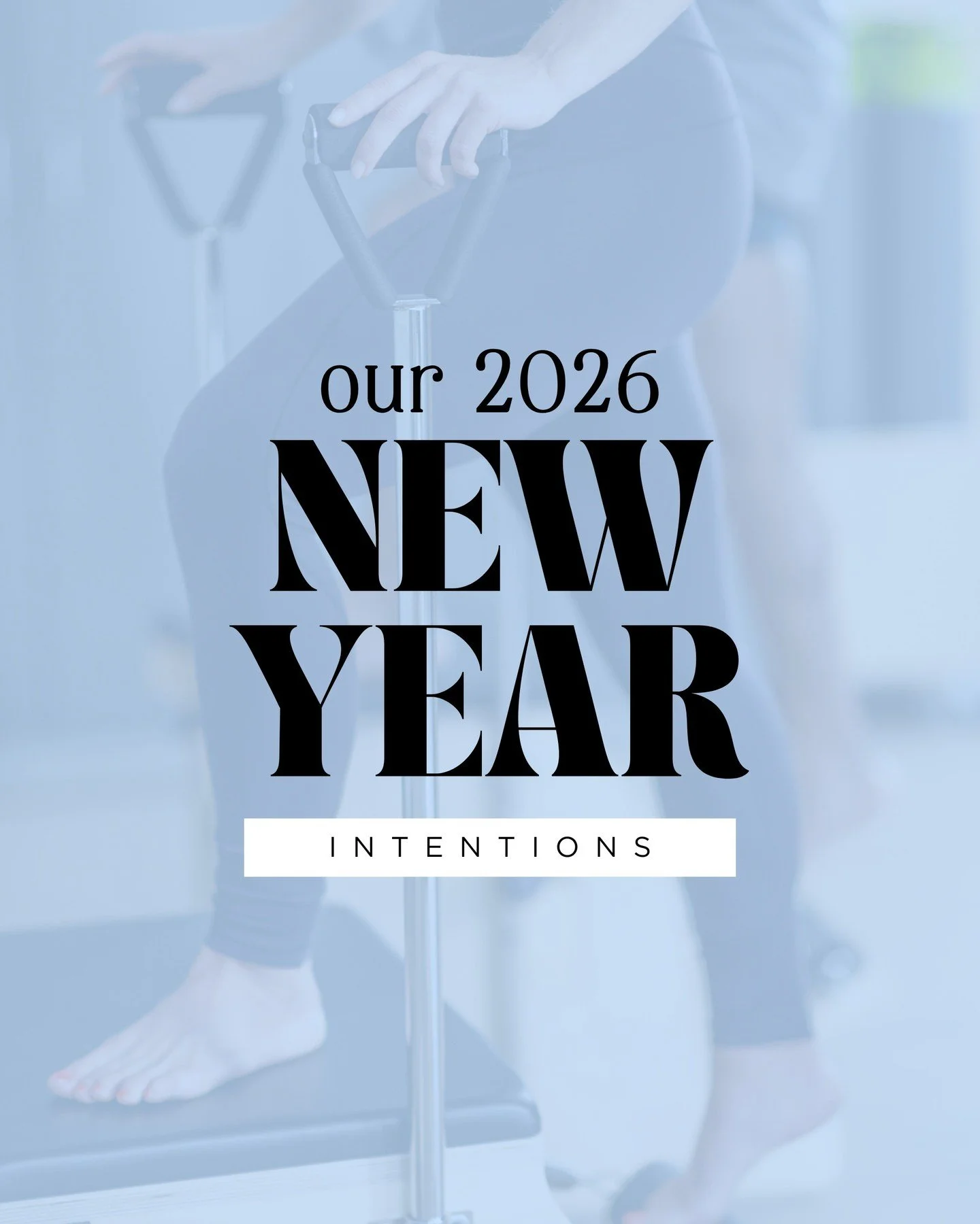 ✨The only energy we're bringing into 2026✨ 

...and more cats &amp; dogs of course 🐕 🐈&zwj;⬛