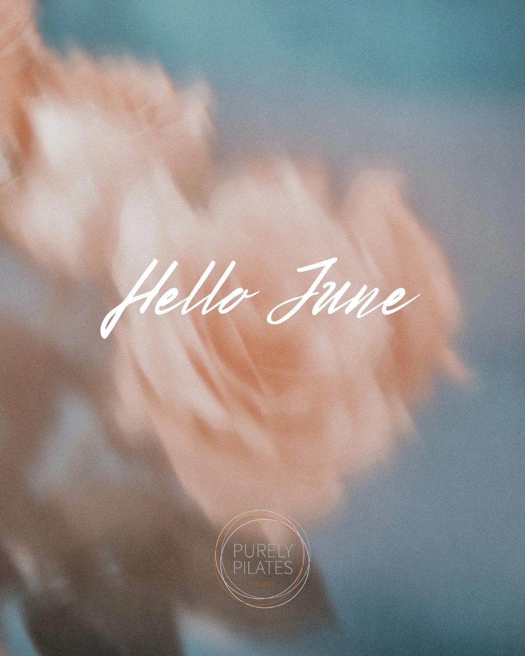 Oh how we love ushering in these warm summer months ☺️☀️ Happy June everybody!