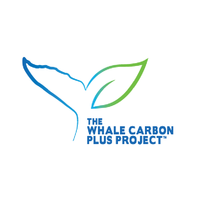 Artboard 1 copy 9.png