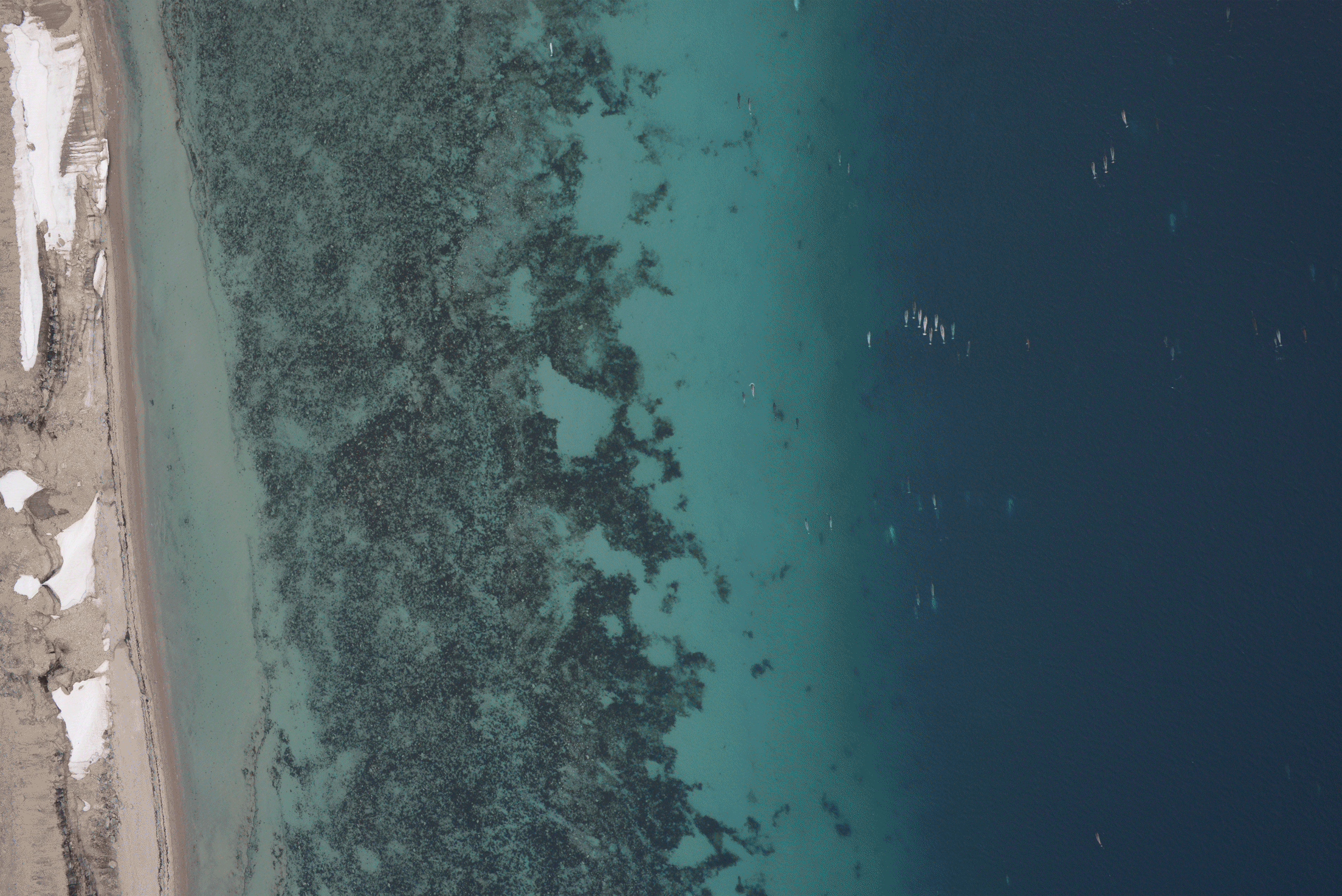 Innovative Solutions Canada x Whale Seeker