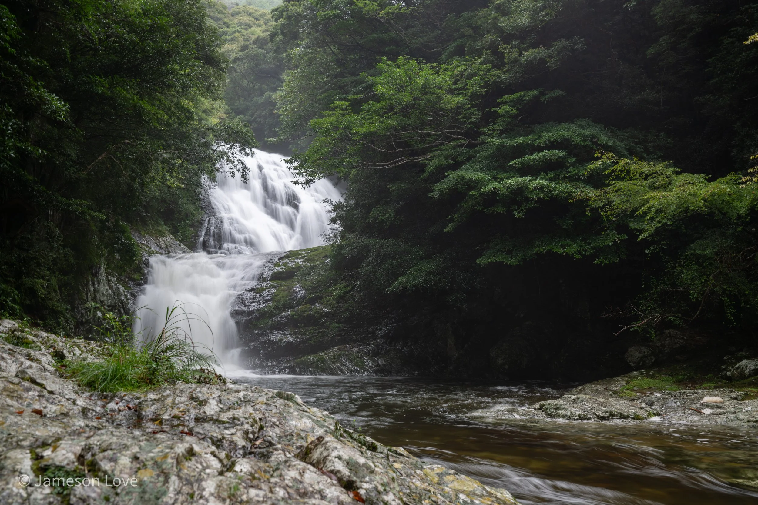 _DSC8162.jpg