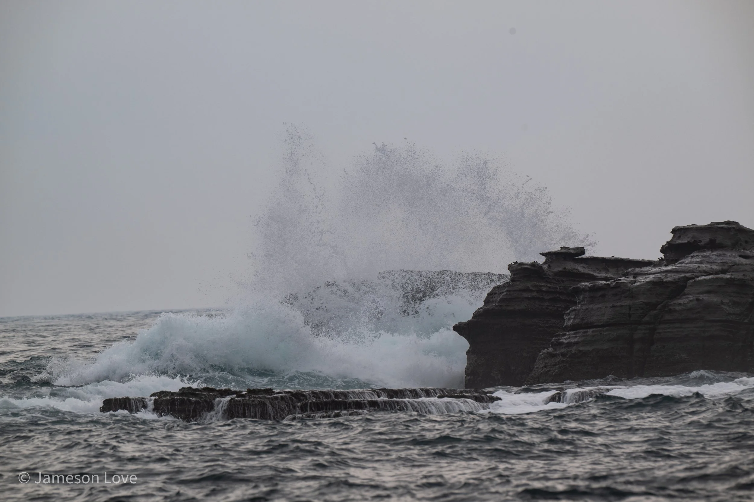 _DSC9080.jpg
