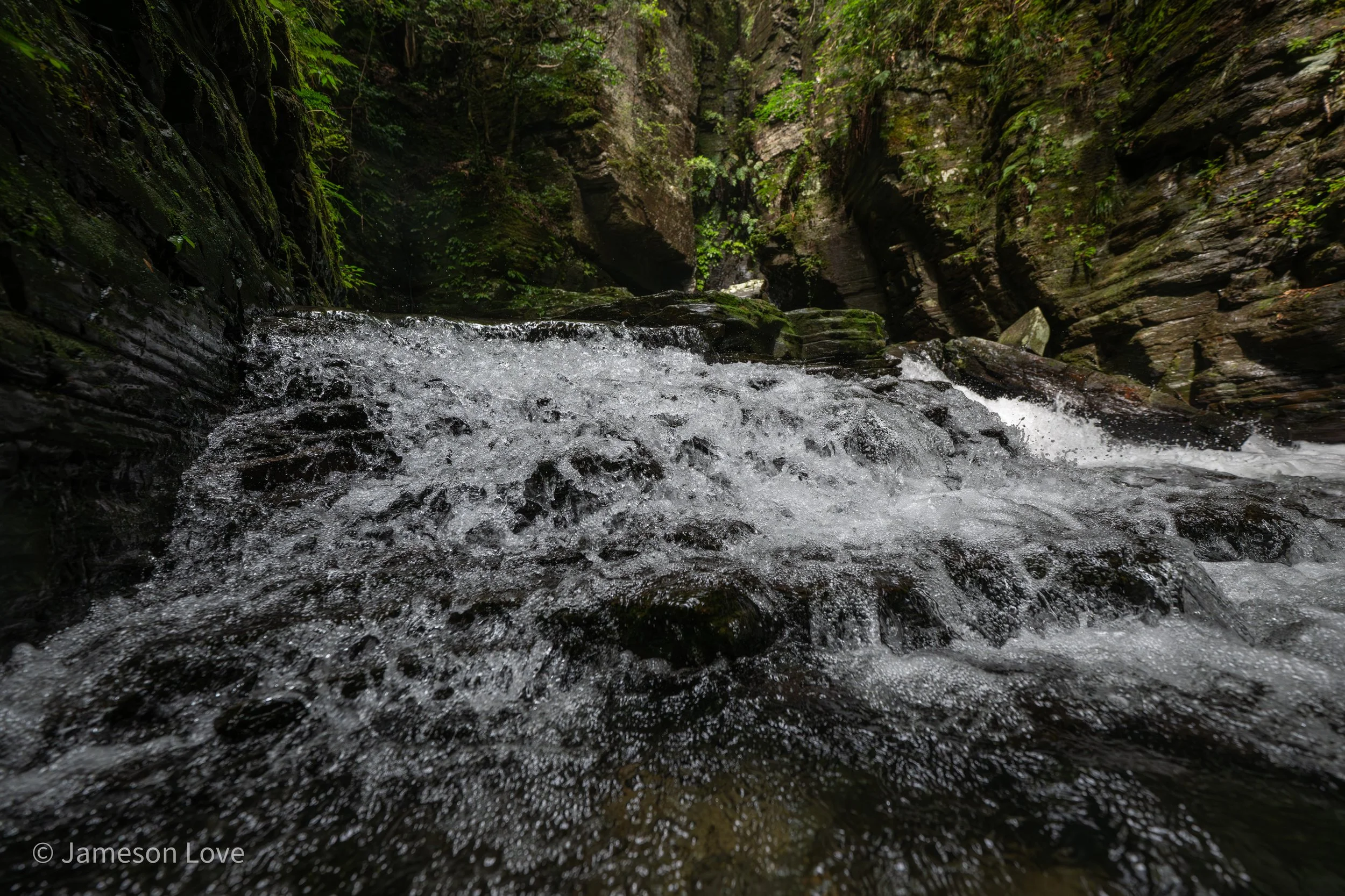 _DSC8492.jpg