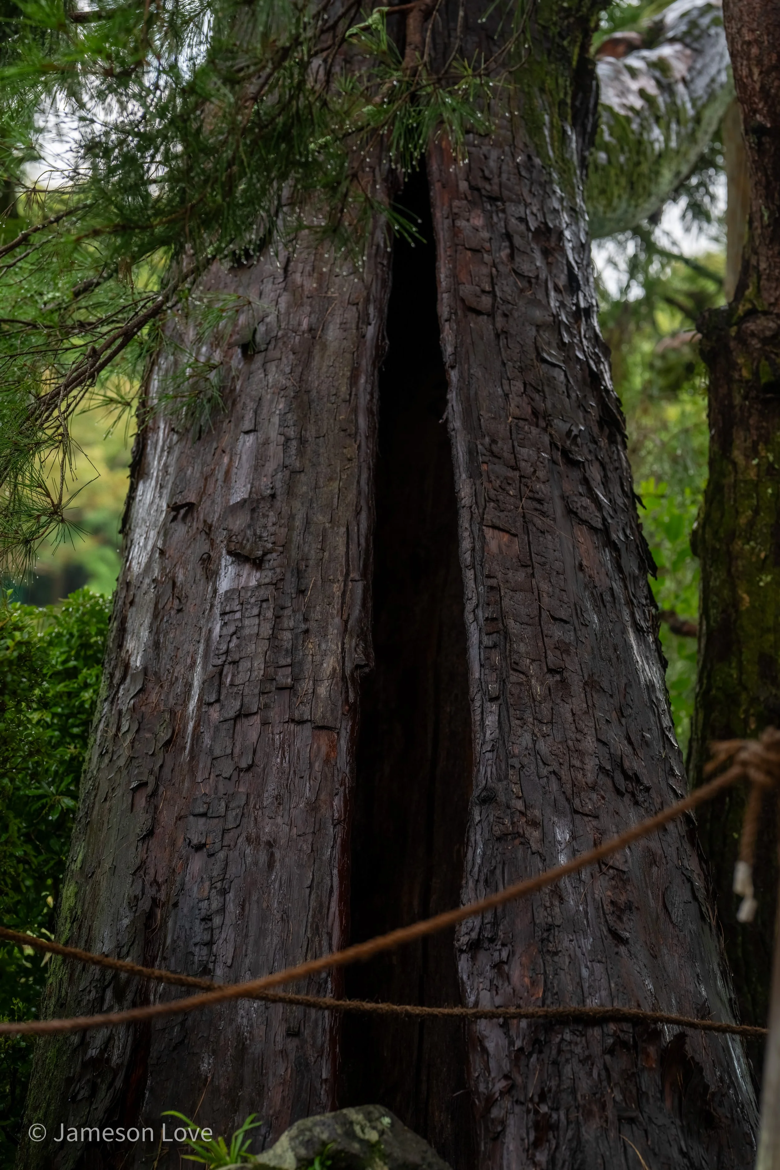 _DSC7738-HDR.jpg