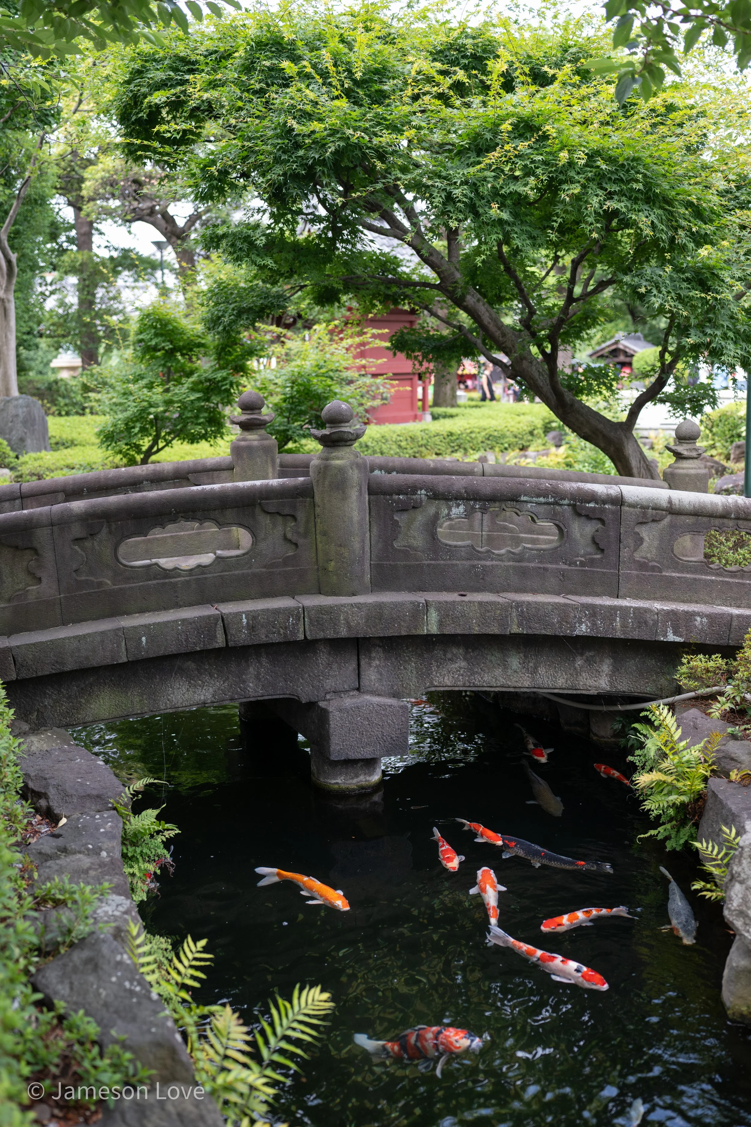 Classic Japan;
Tokyo