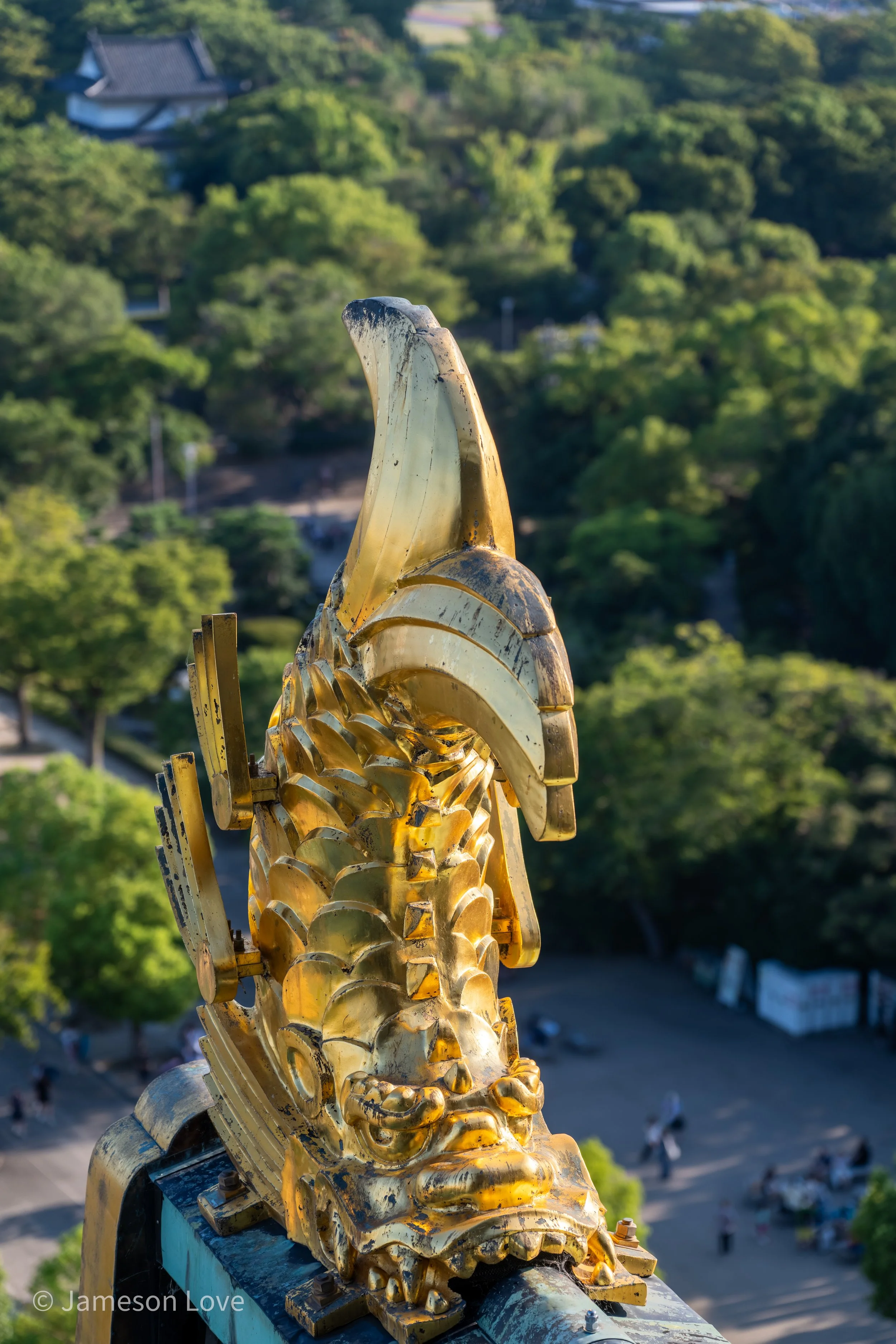 Shachihoko;
Osaka Castle, Japan