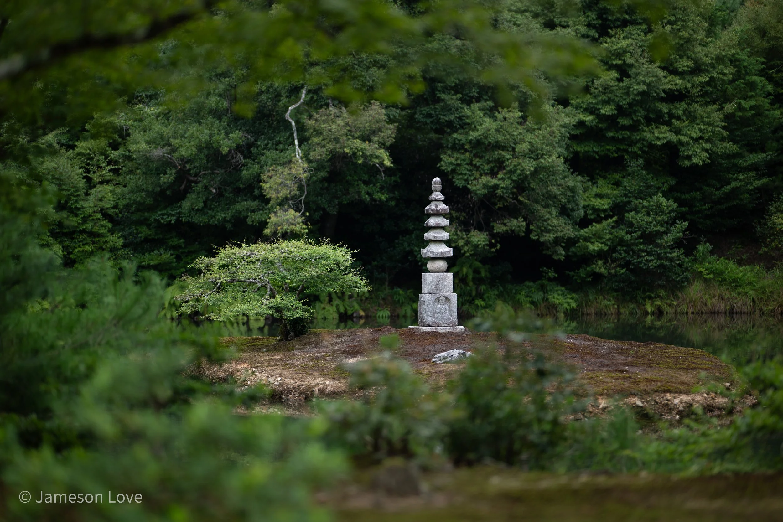 _DSC7583.jpg