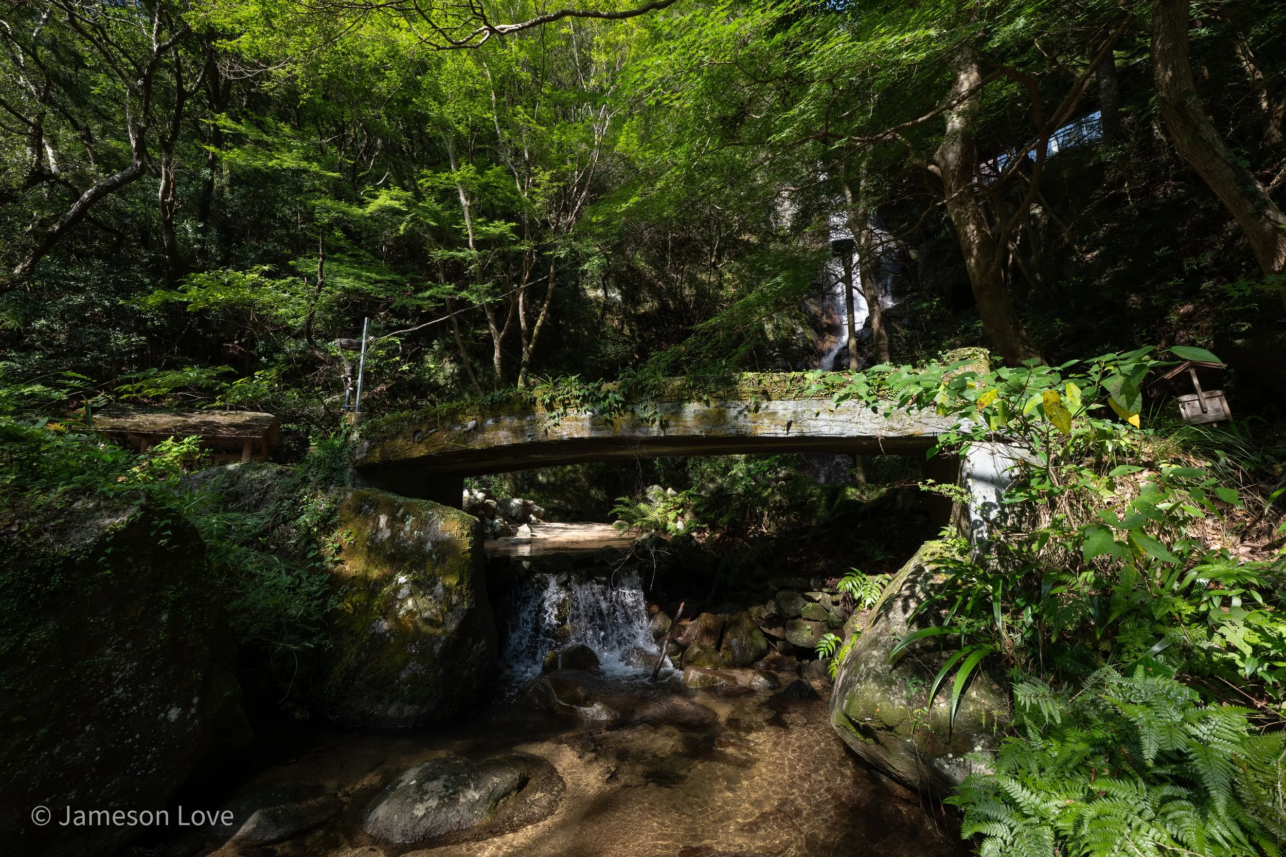_DSC9390.jpg