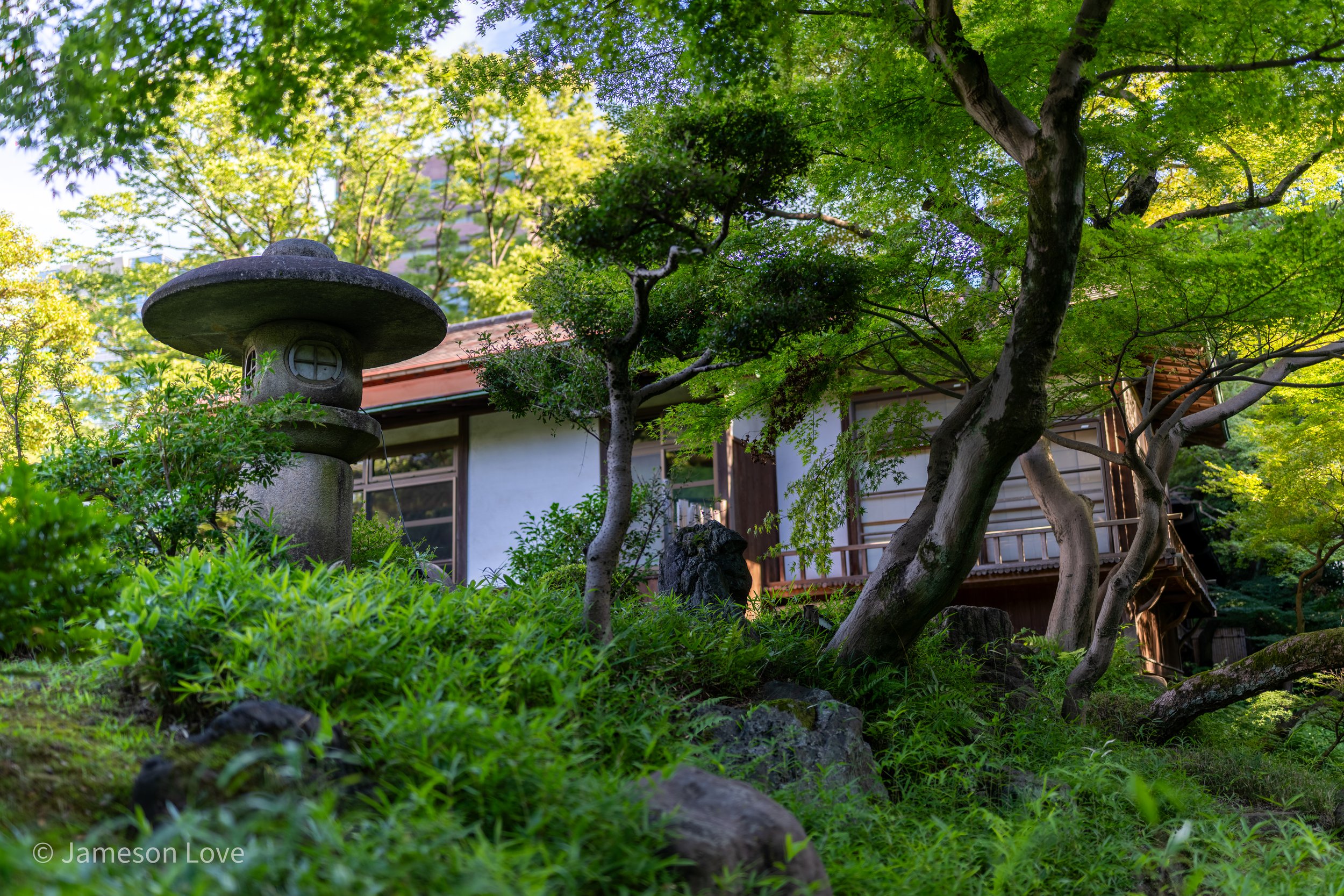 _DSC3397-HDR.jpg