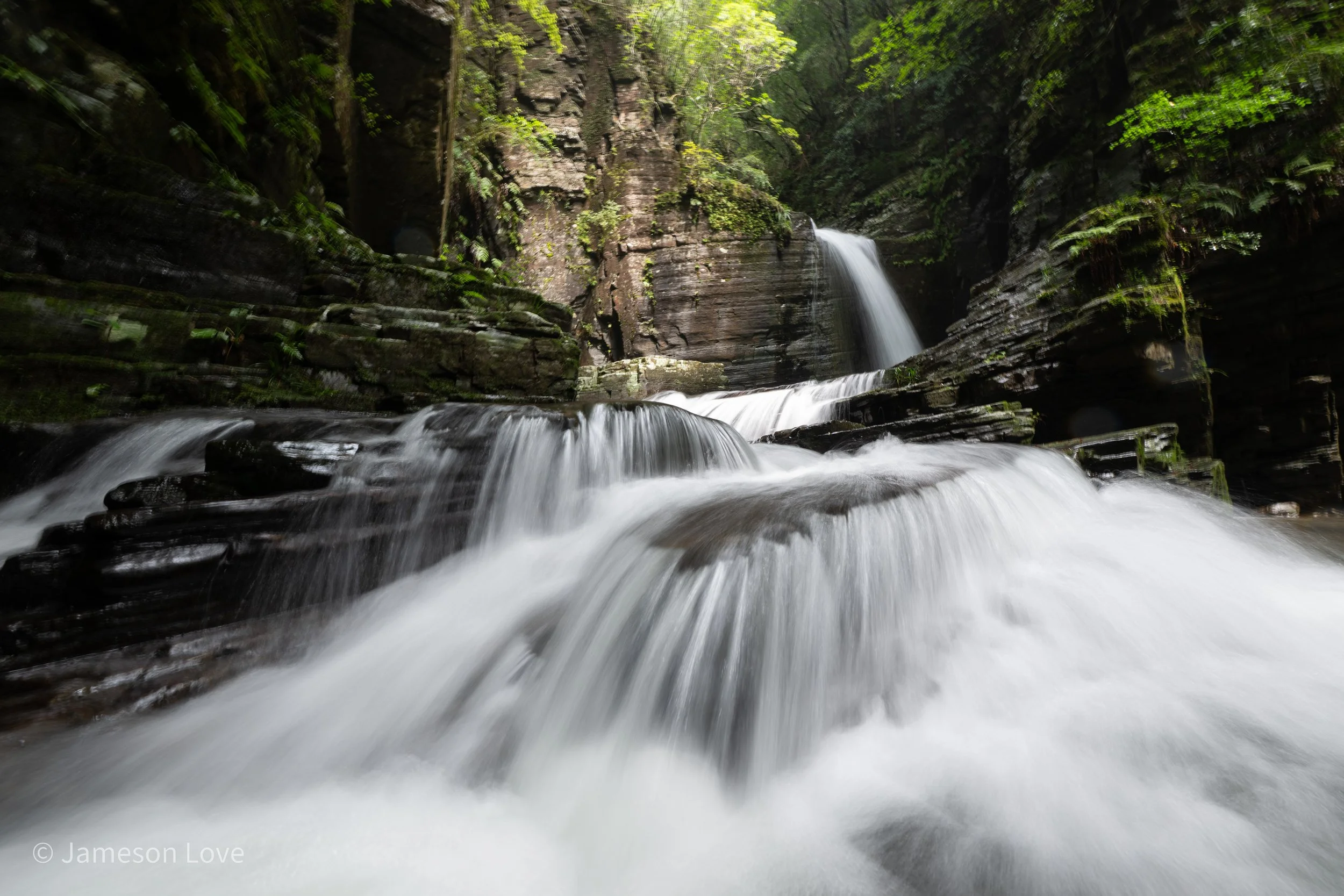 _DSC8479.jpg