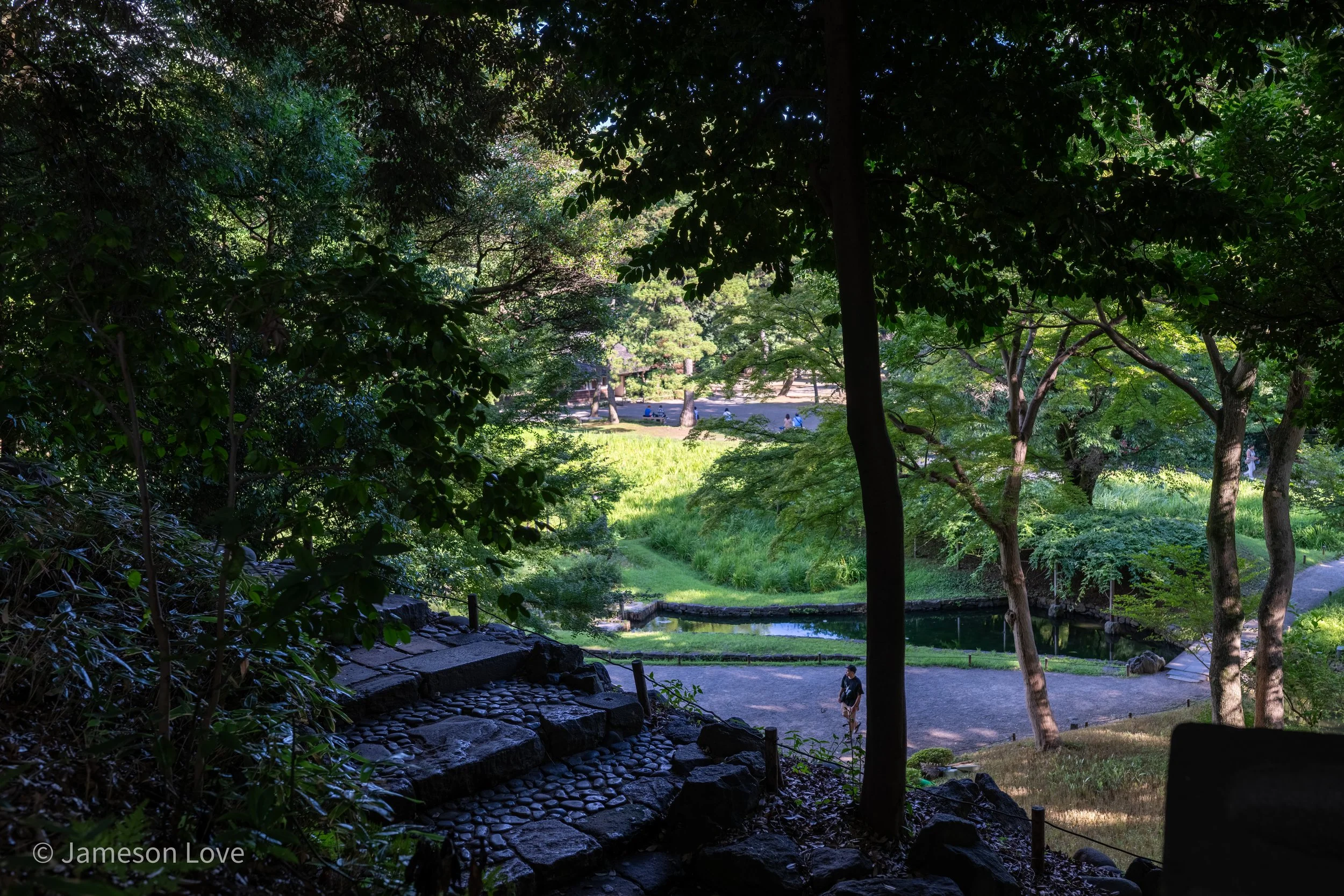 _DSC3306-HDR.jpg