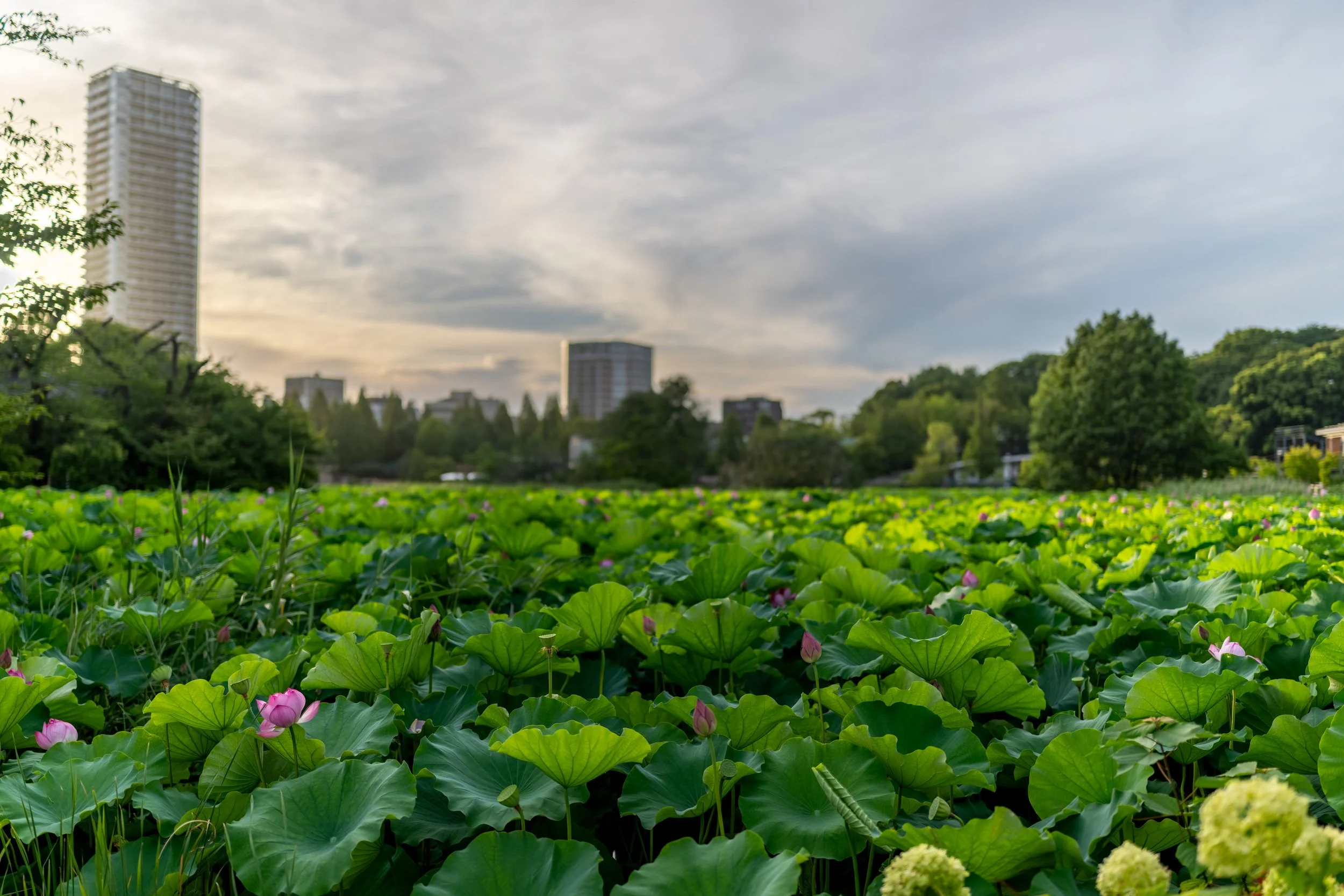 _DSC3028-HDR.jpg