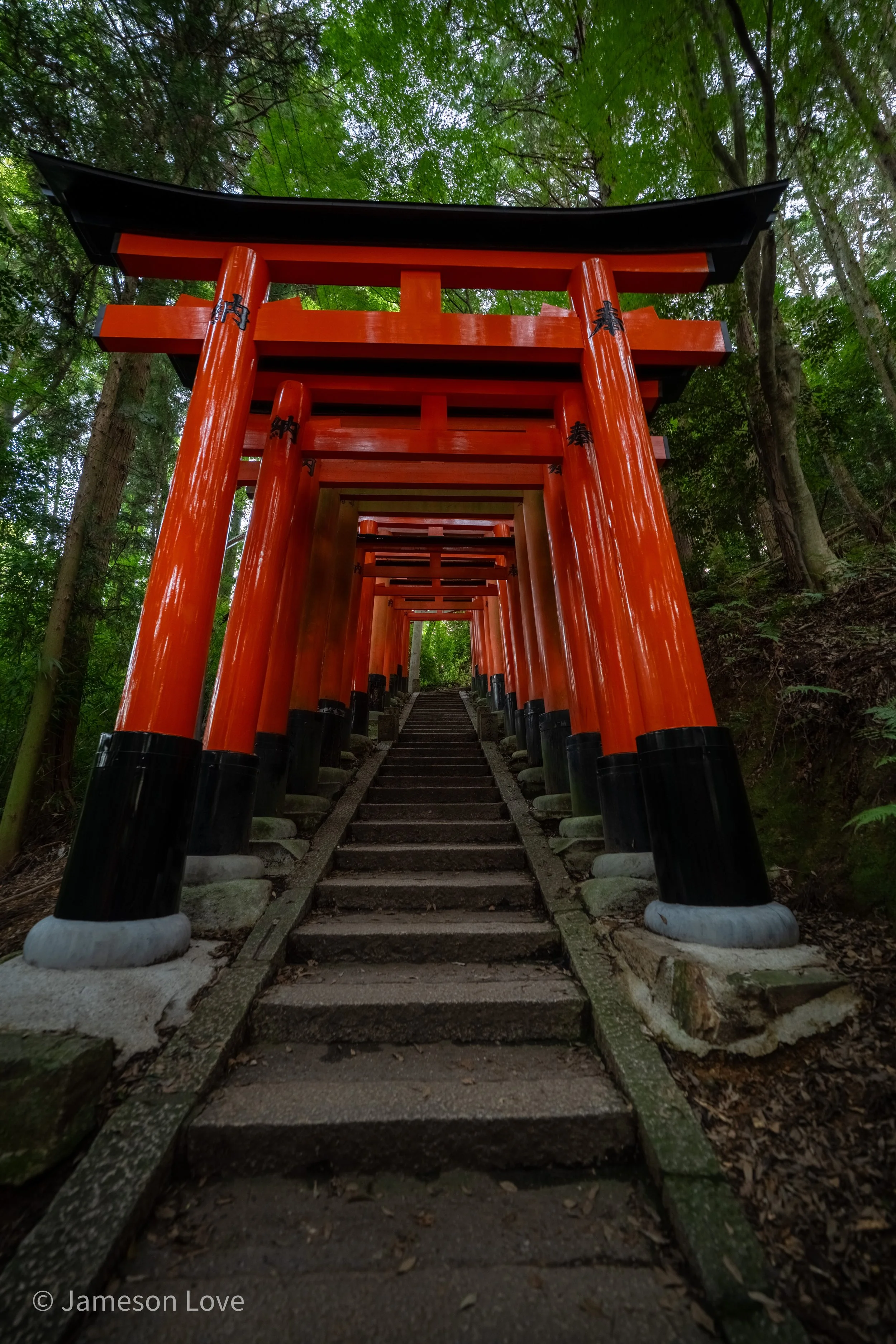 Tori Gates;
Fujidinoi Inari Shrine;
Kyoto, Japan