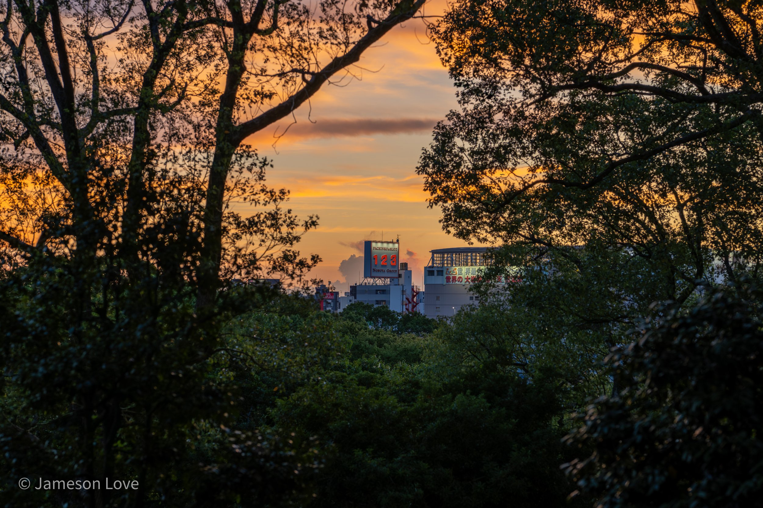 _DSC0678-HDR.jpg