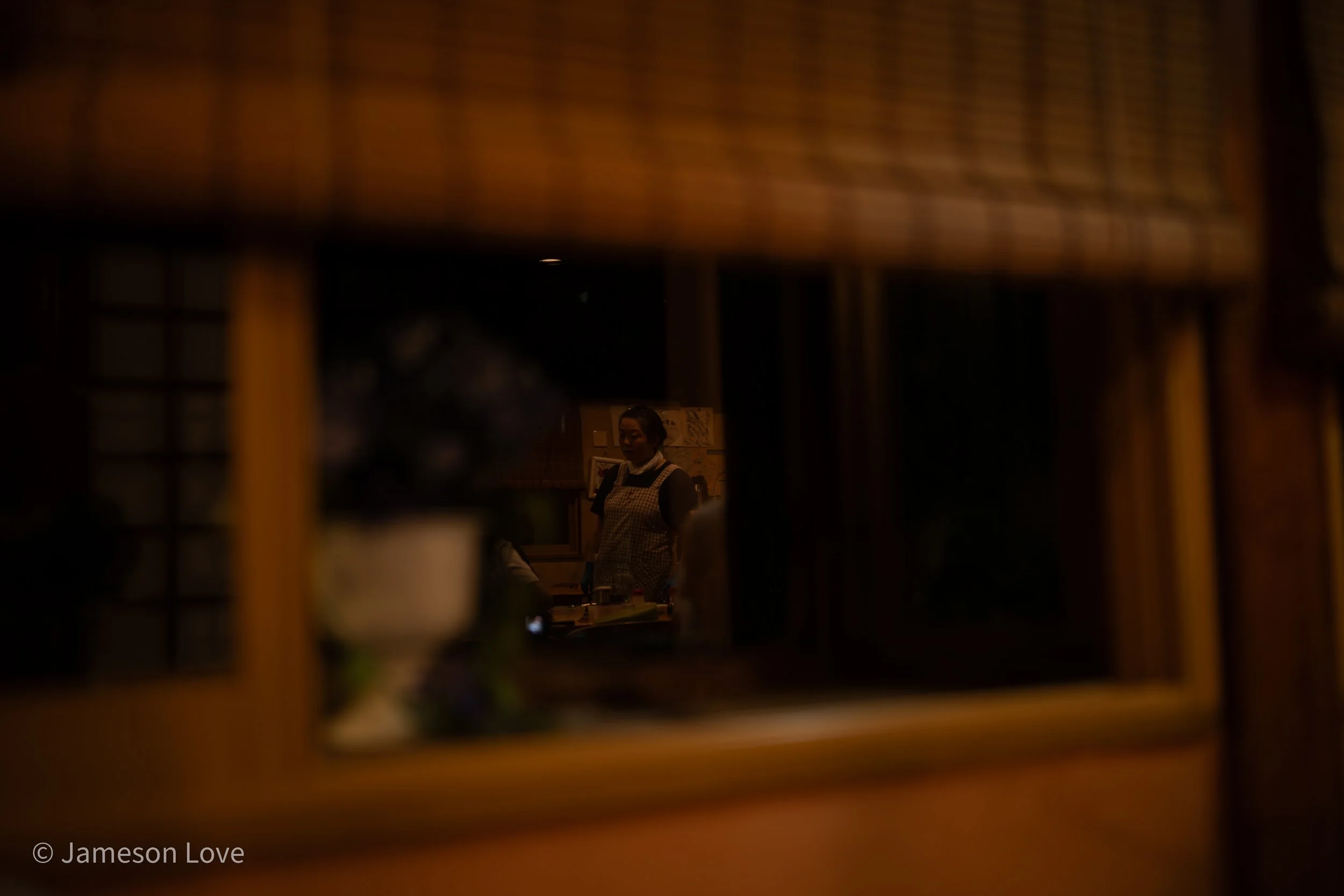 Portrait Reflected;
Lake Yamanaka, Japan