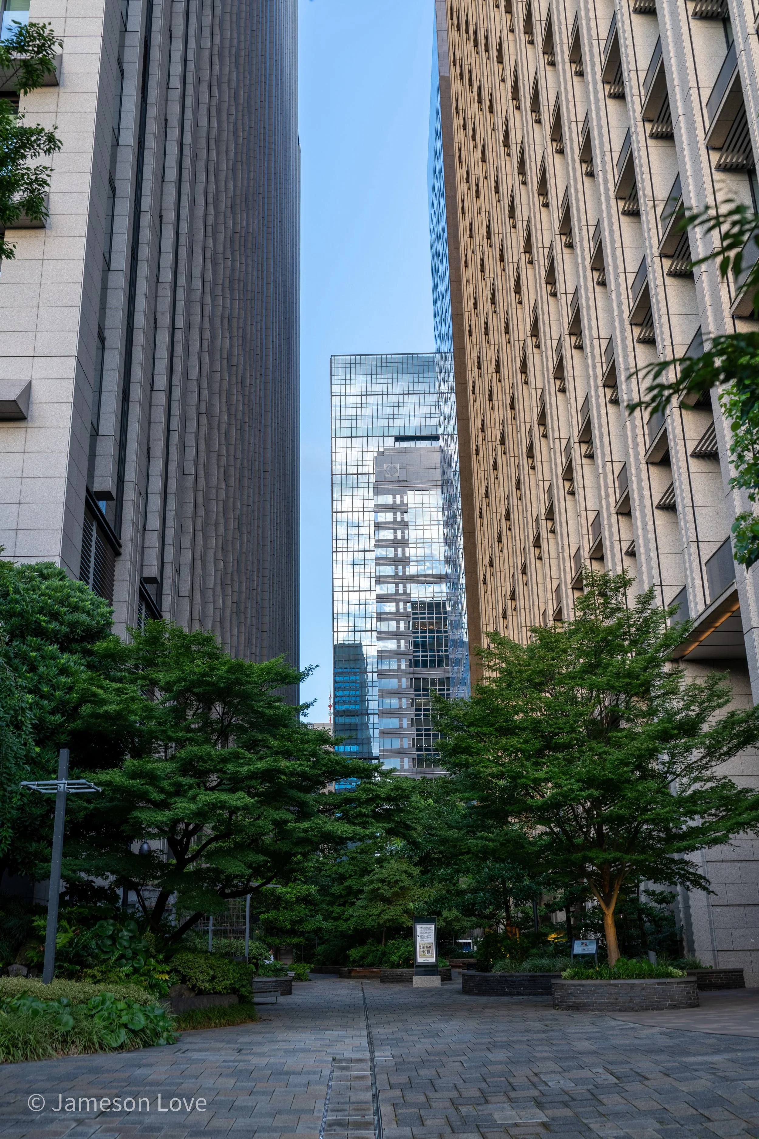 _DSC2542-HDR.jpg