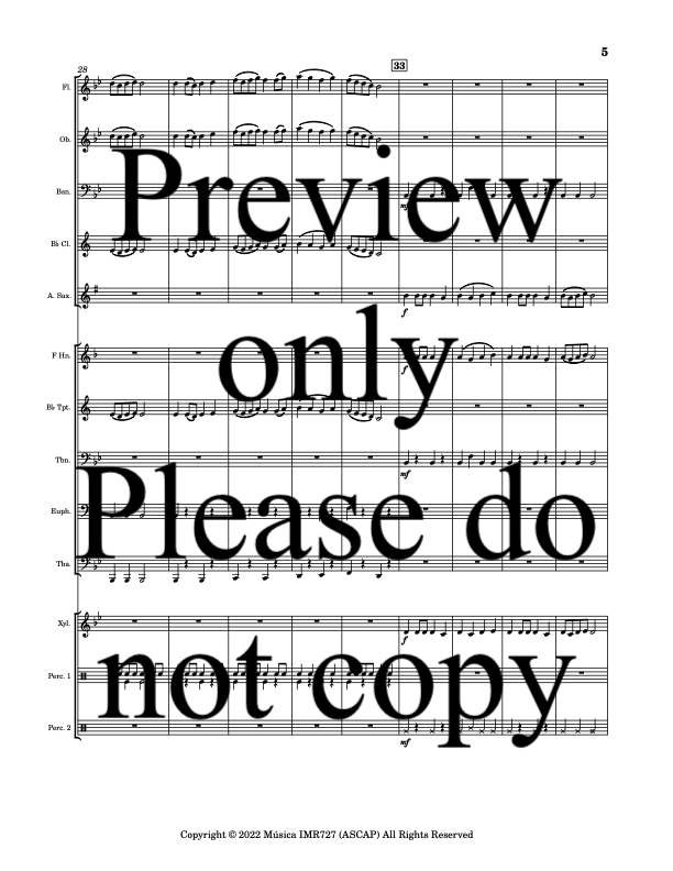 The 2-Minute Flow (music).png