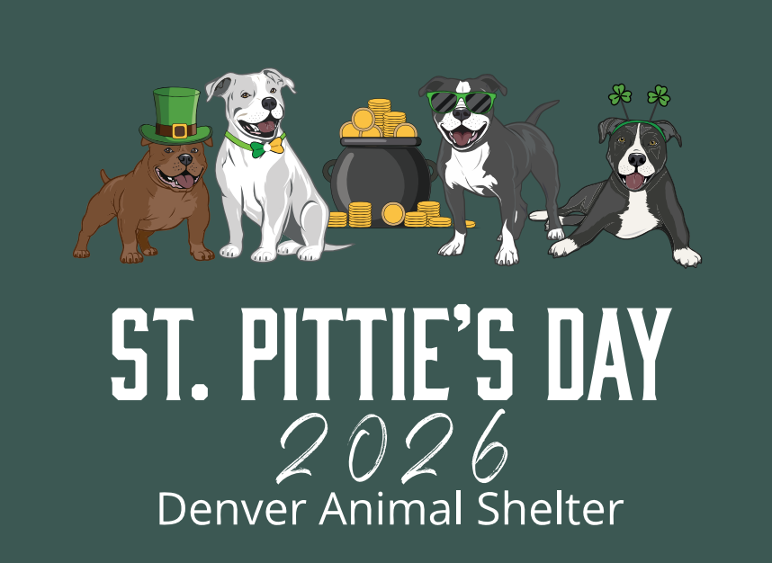 St. Pittie’s Day!!!