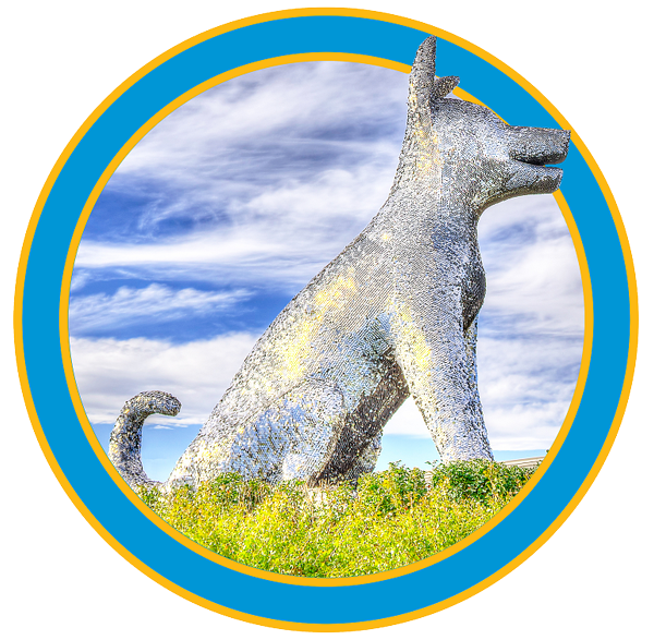 Denver Animal Shelter Volunteer Party