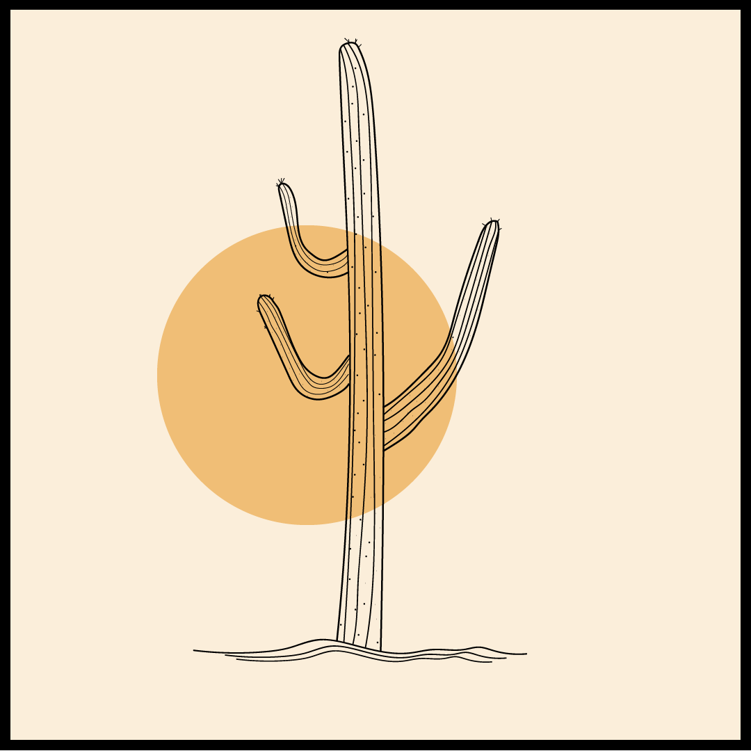 Cactus Jack-01.png