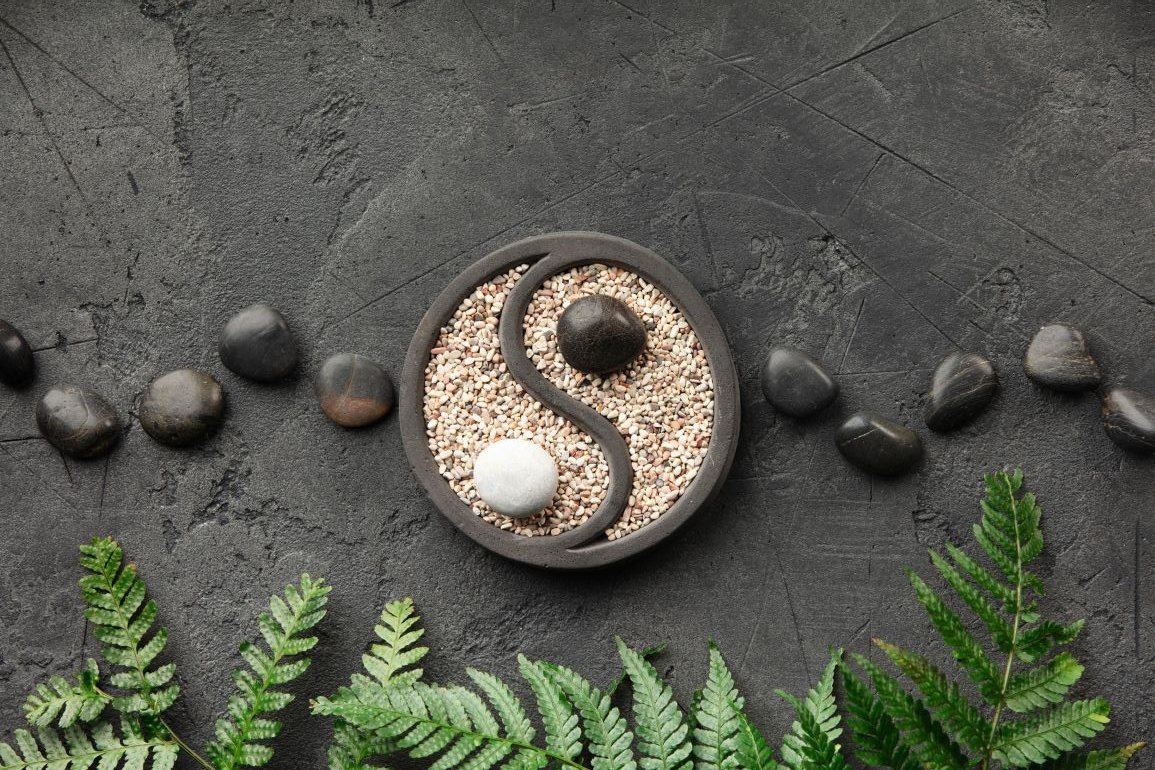Yin and Yang Through the Lens of Modern Biology
