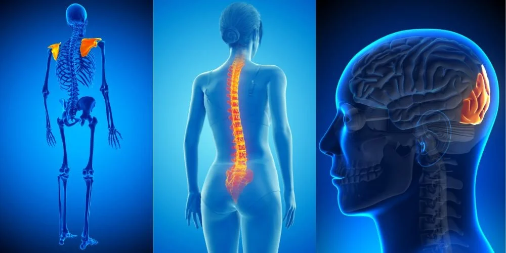 Acupuncture treatment for neck pain in Westport CT