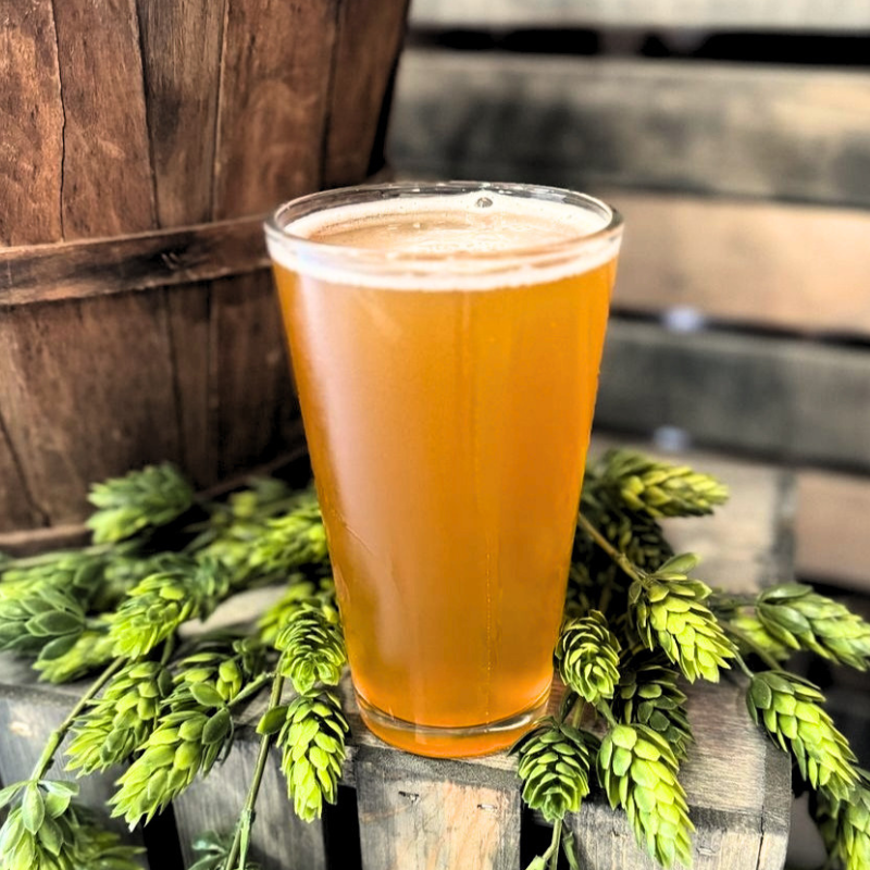 A glass of amber-colored beer on a rustic wooden surface with green hops and wooden planks in the background.