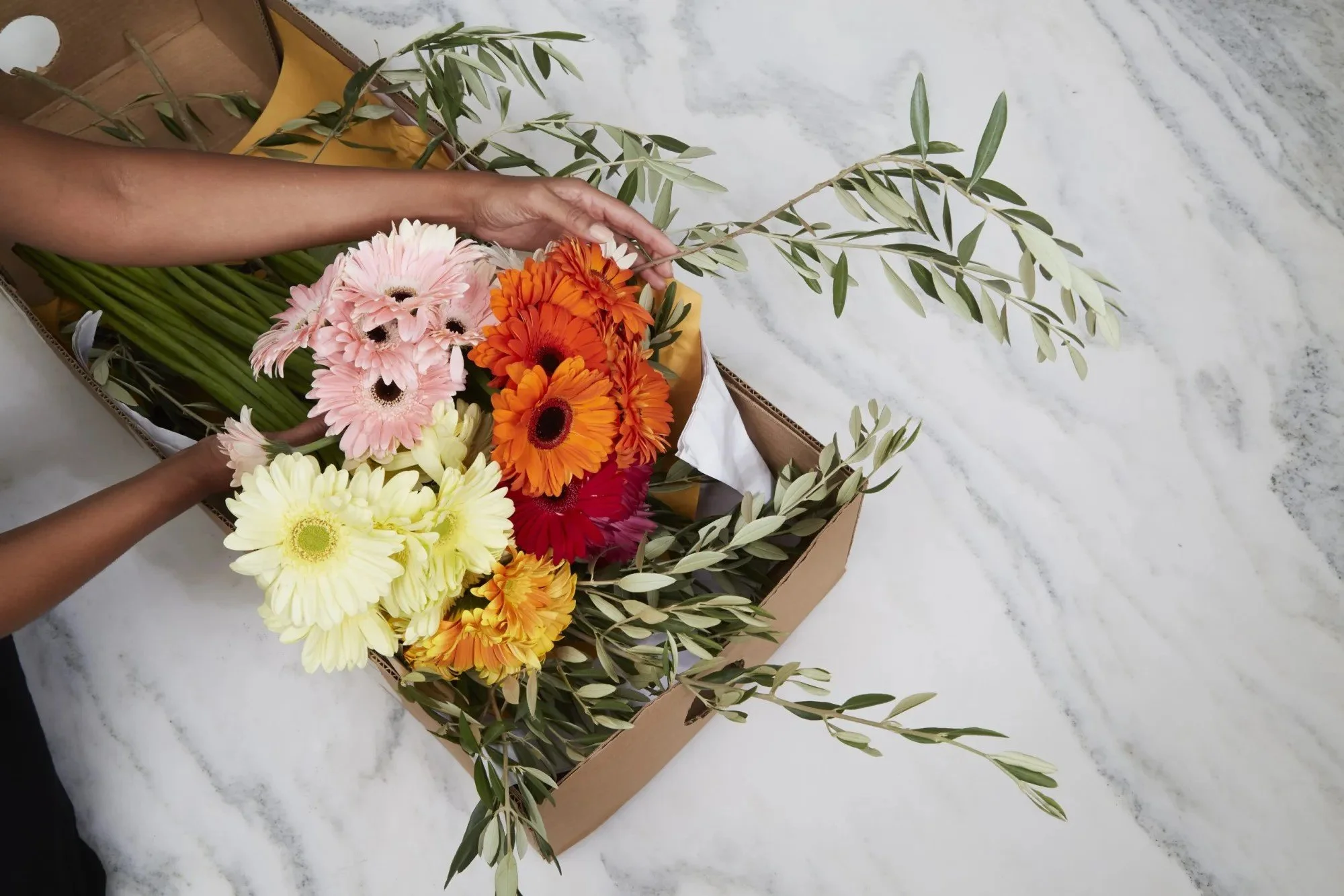Black Women: The Vanguards of Horticulture