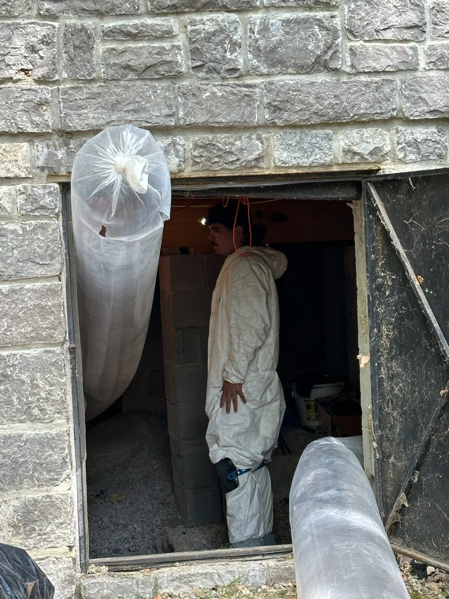 Healthy Home Series - Our Team